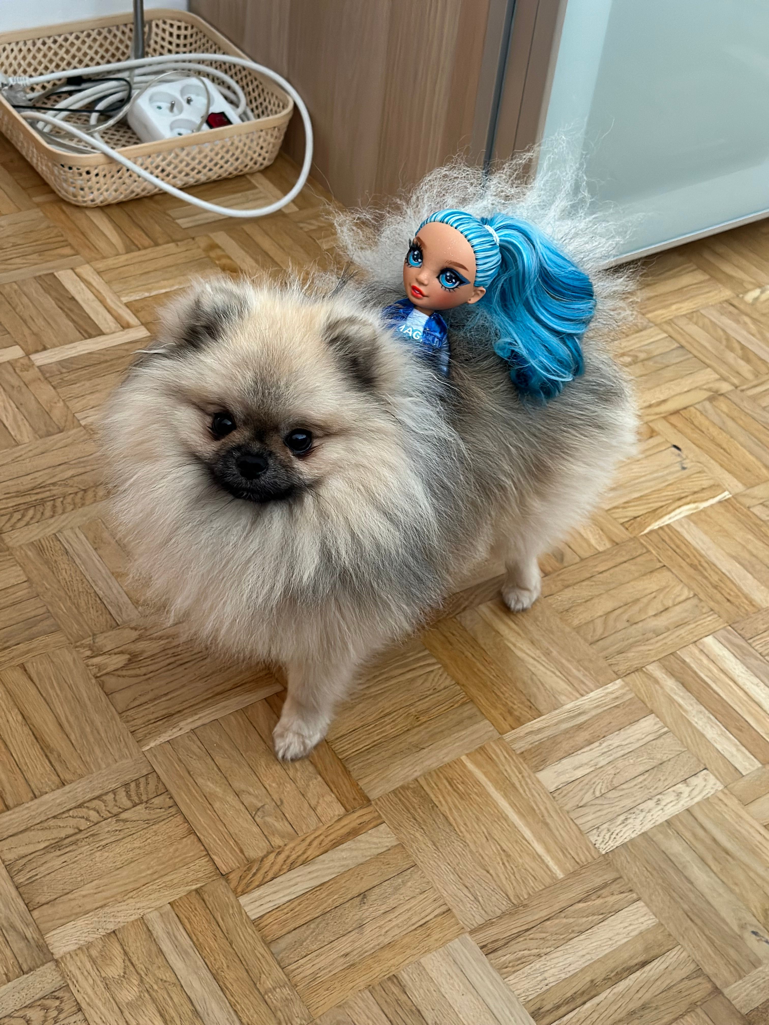 Milo - 9 Avenue de Verdun, Valserhône