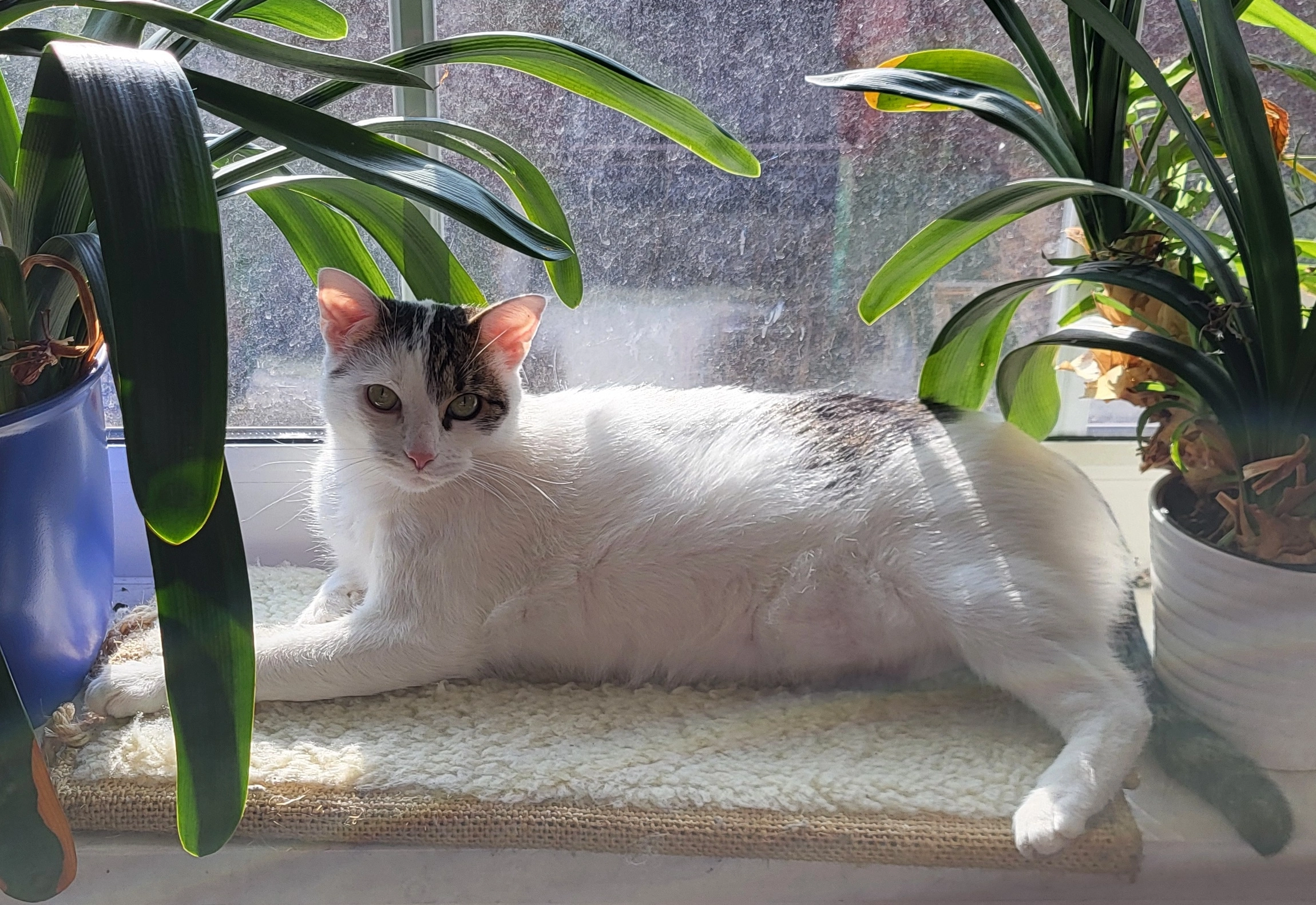 Luke / Lukie - Kabelbergsweg, Edemissen