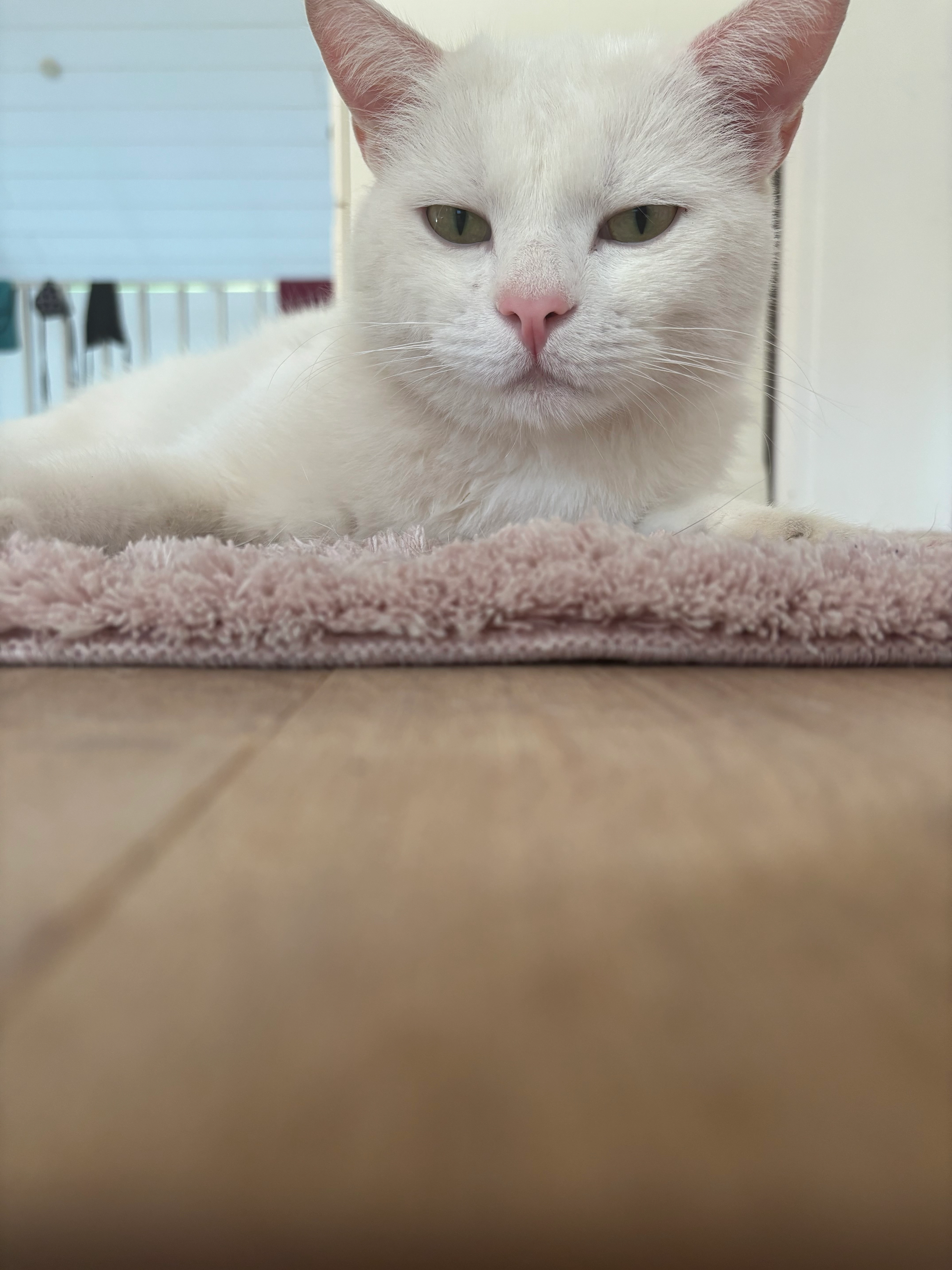 Luke - Theodor-Heuss-Straße, Langen