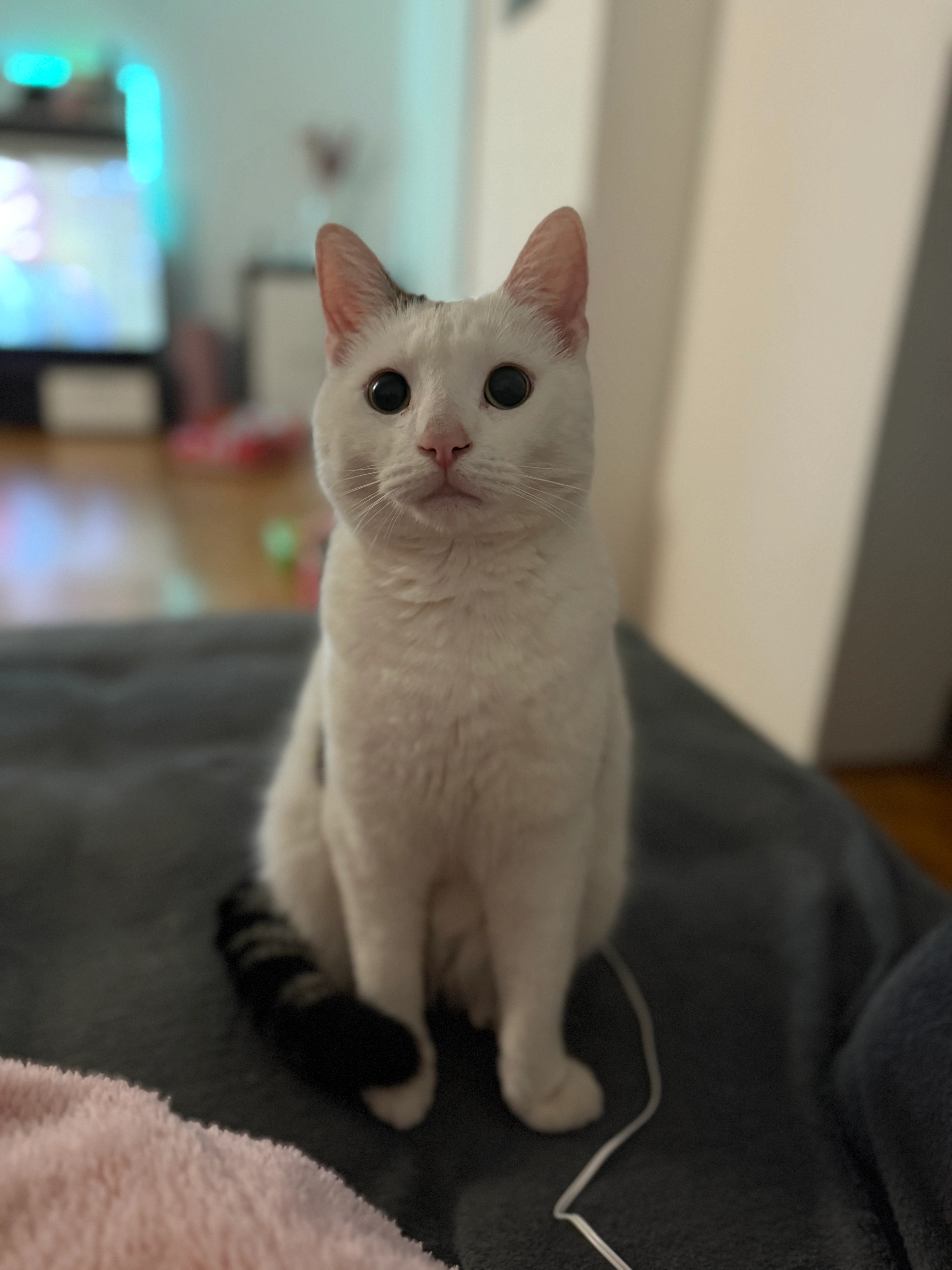 Felix - Fliederweg, Tüßling