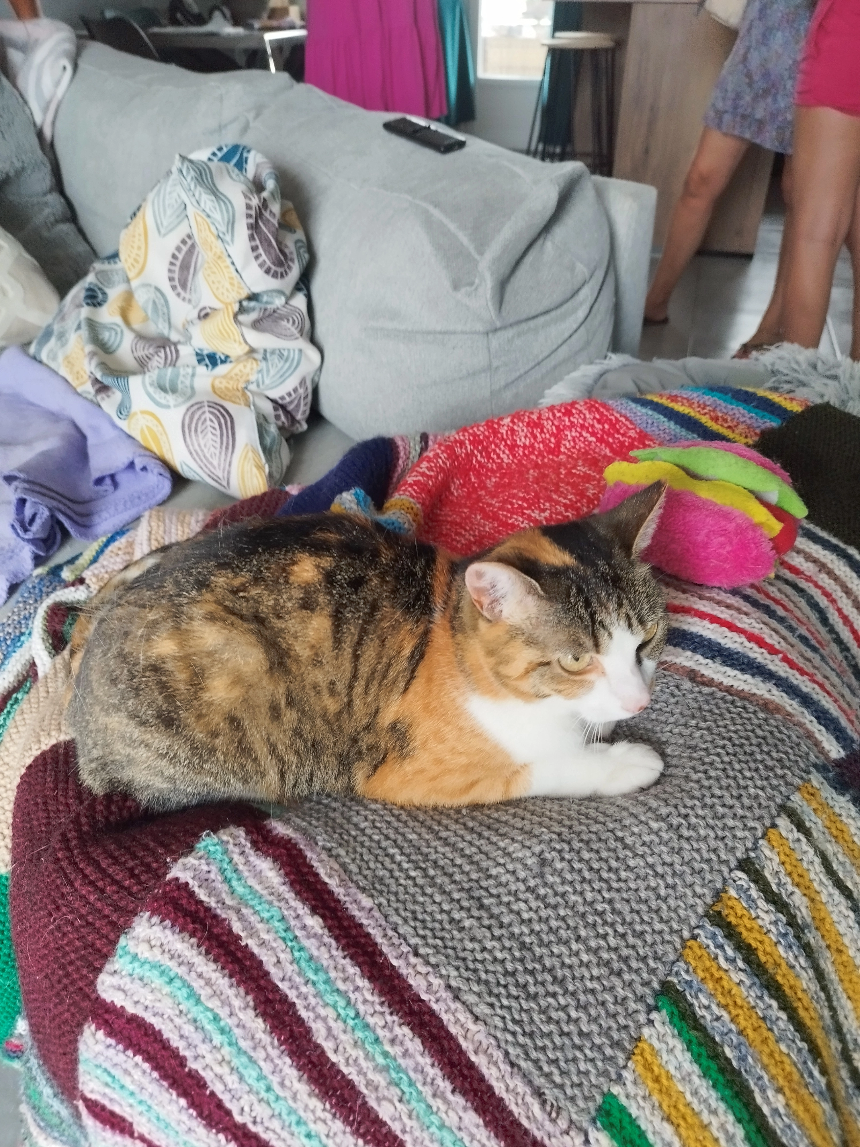 Roulotte - 6 Lotissement Le Clos du Vignaud, Puyréaux