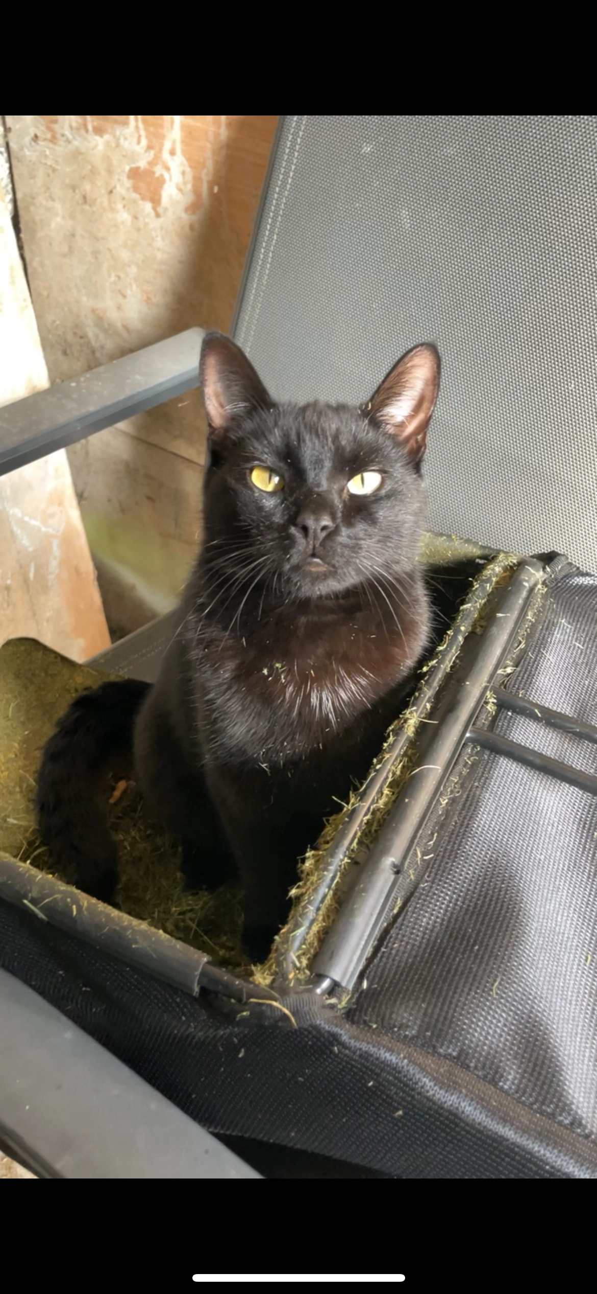 Cosmo - Saint Flannan Street, Nenagh