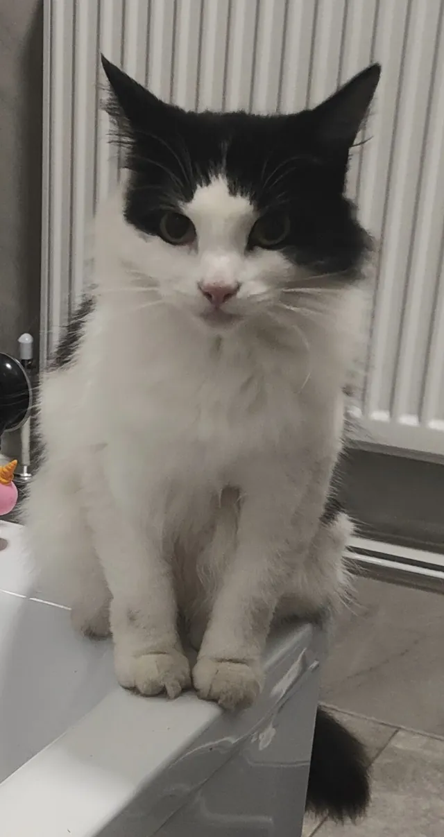 Luna - Coseley Street, Stoke-on-Trent