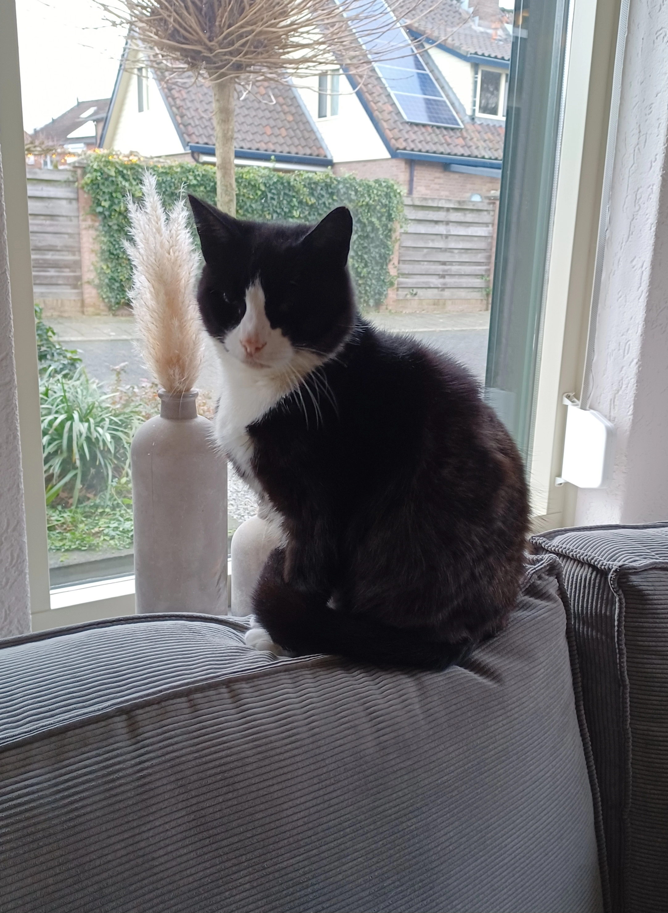 Mickey - John F. Kennedystraat, Heinenoord