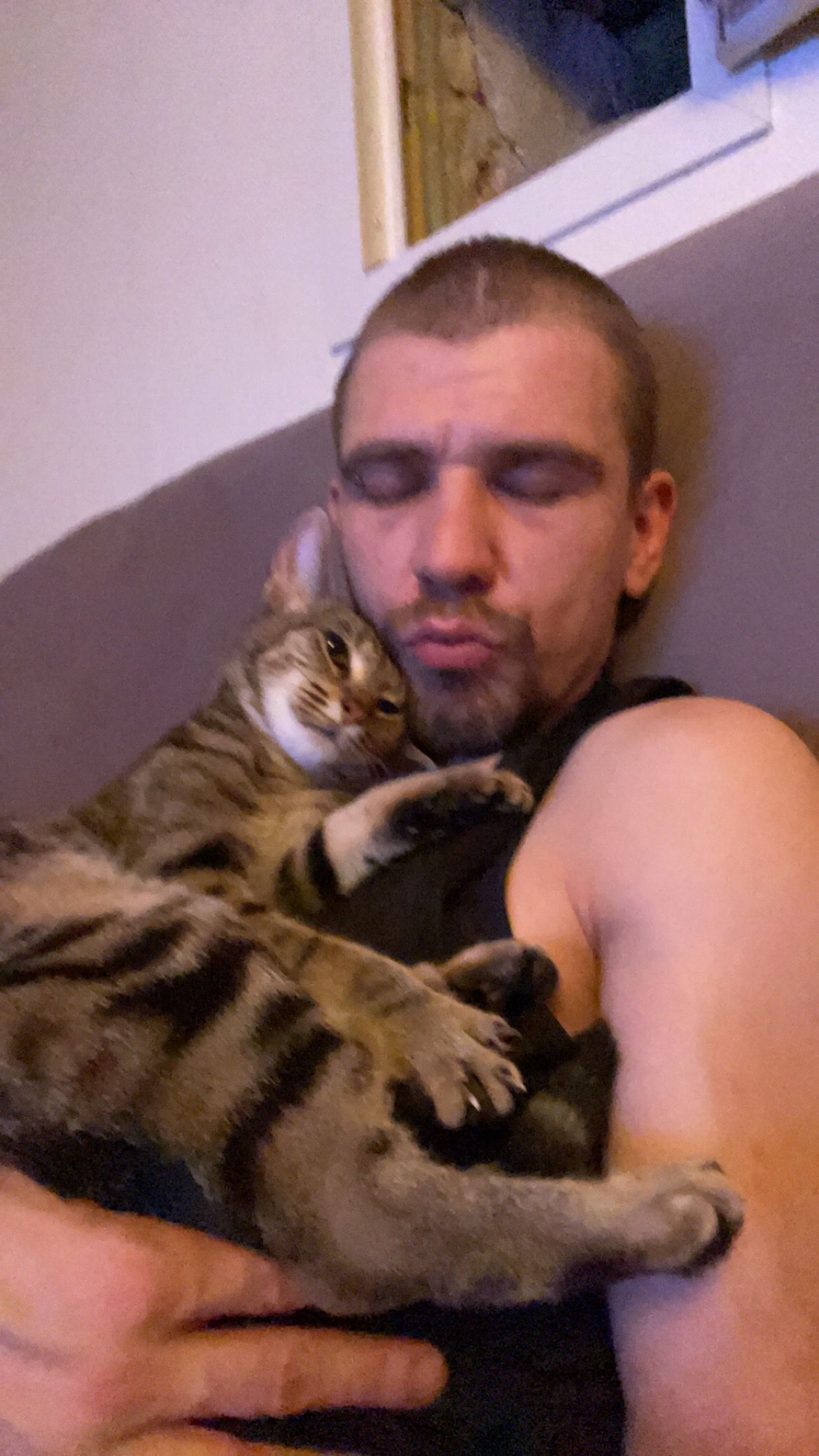 Choupette - Rue du Docteur Audé, Fontenay-le-Comte