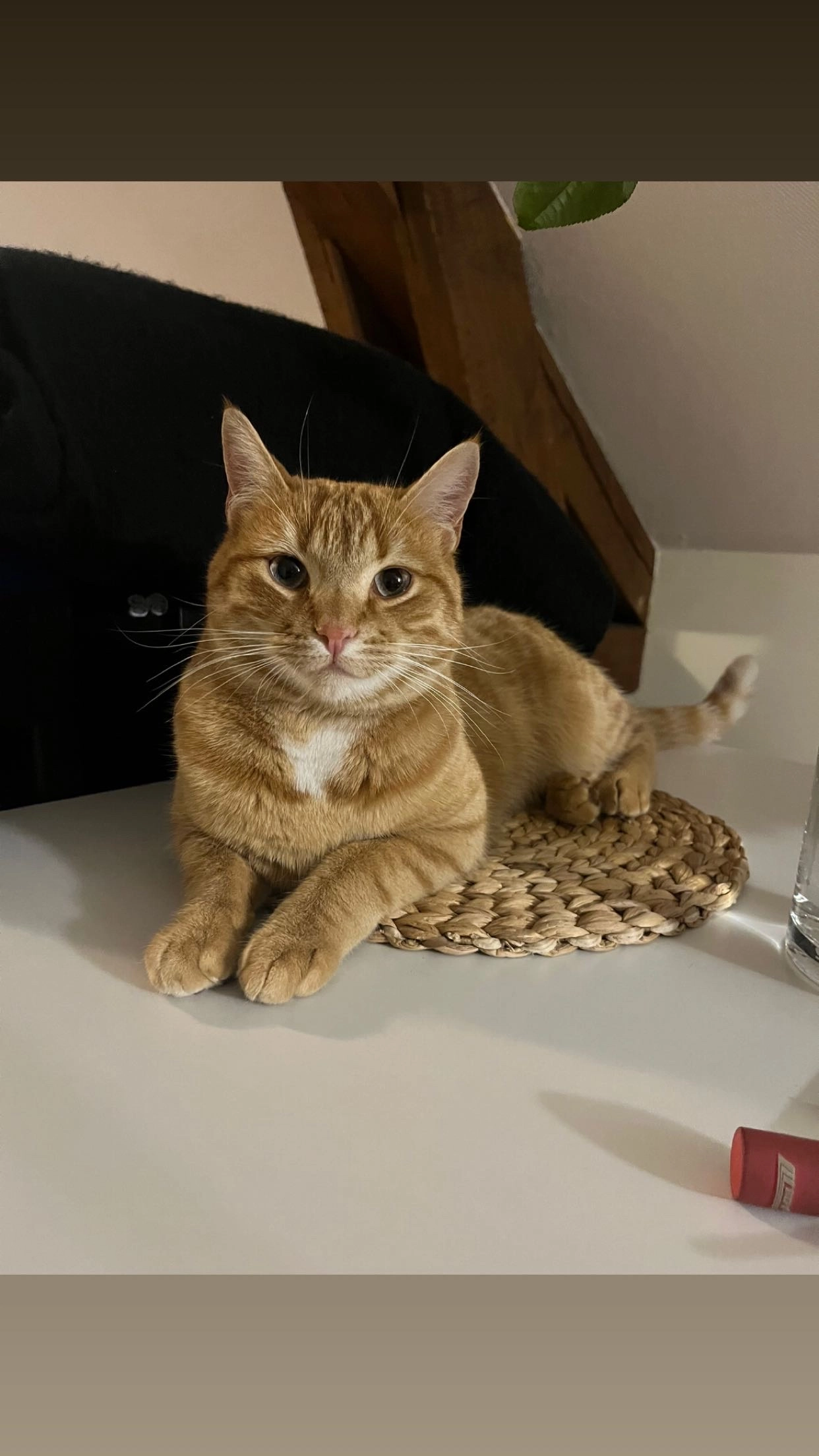 Mimou - Rue des Granges, Pontarlier