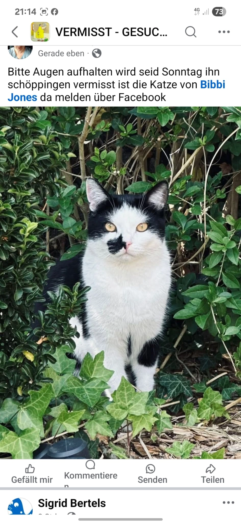 James - Im Sall, Schöppingen