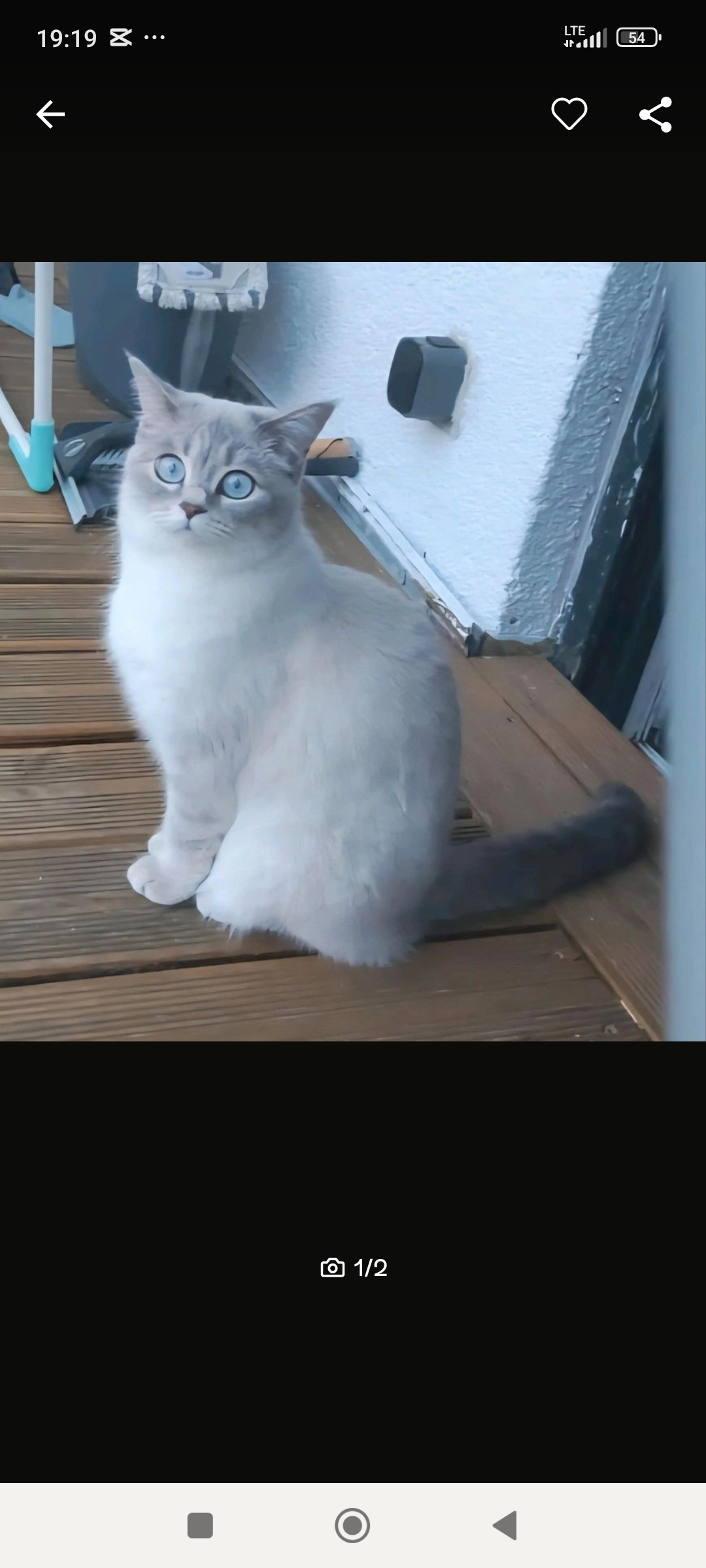 Shari - Vorlaenderstraße, Minden