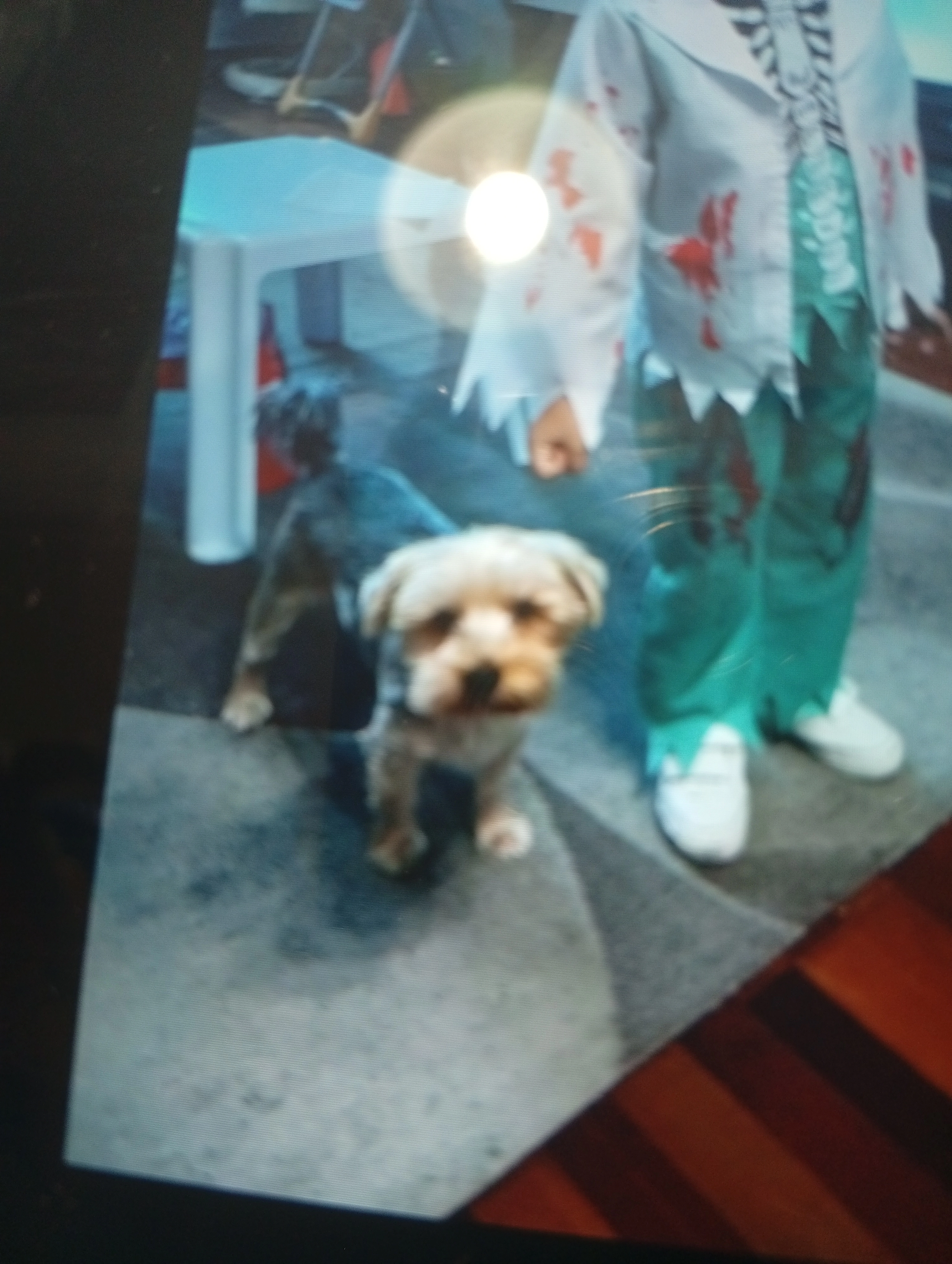 Roki - Calle Alcalde Martínez de Galinsoga, Cartagena