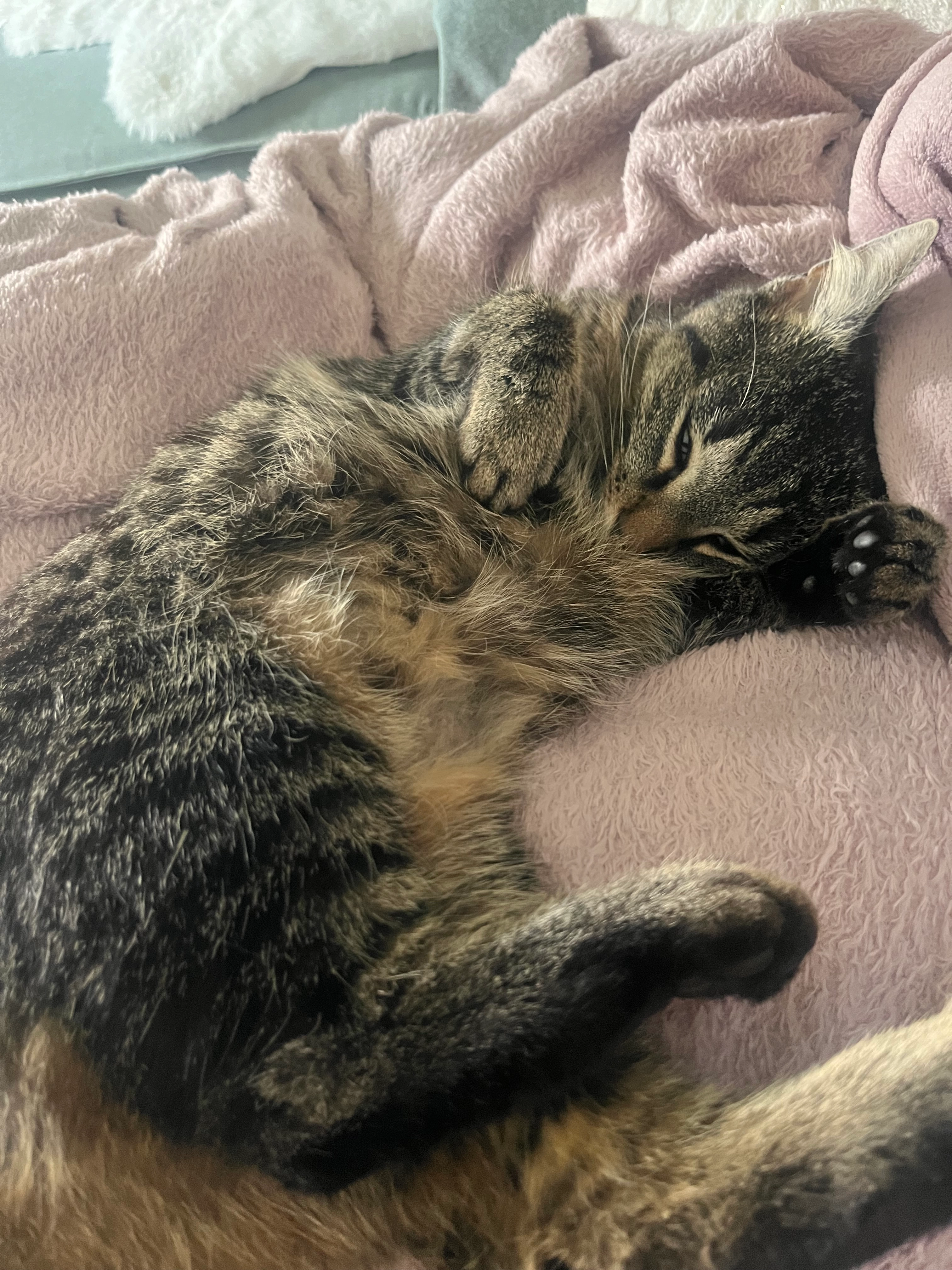 Gretl - Vizestraße, Burgdorf