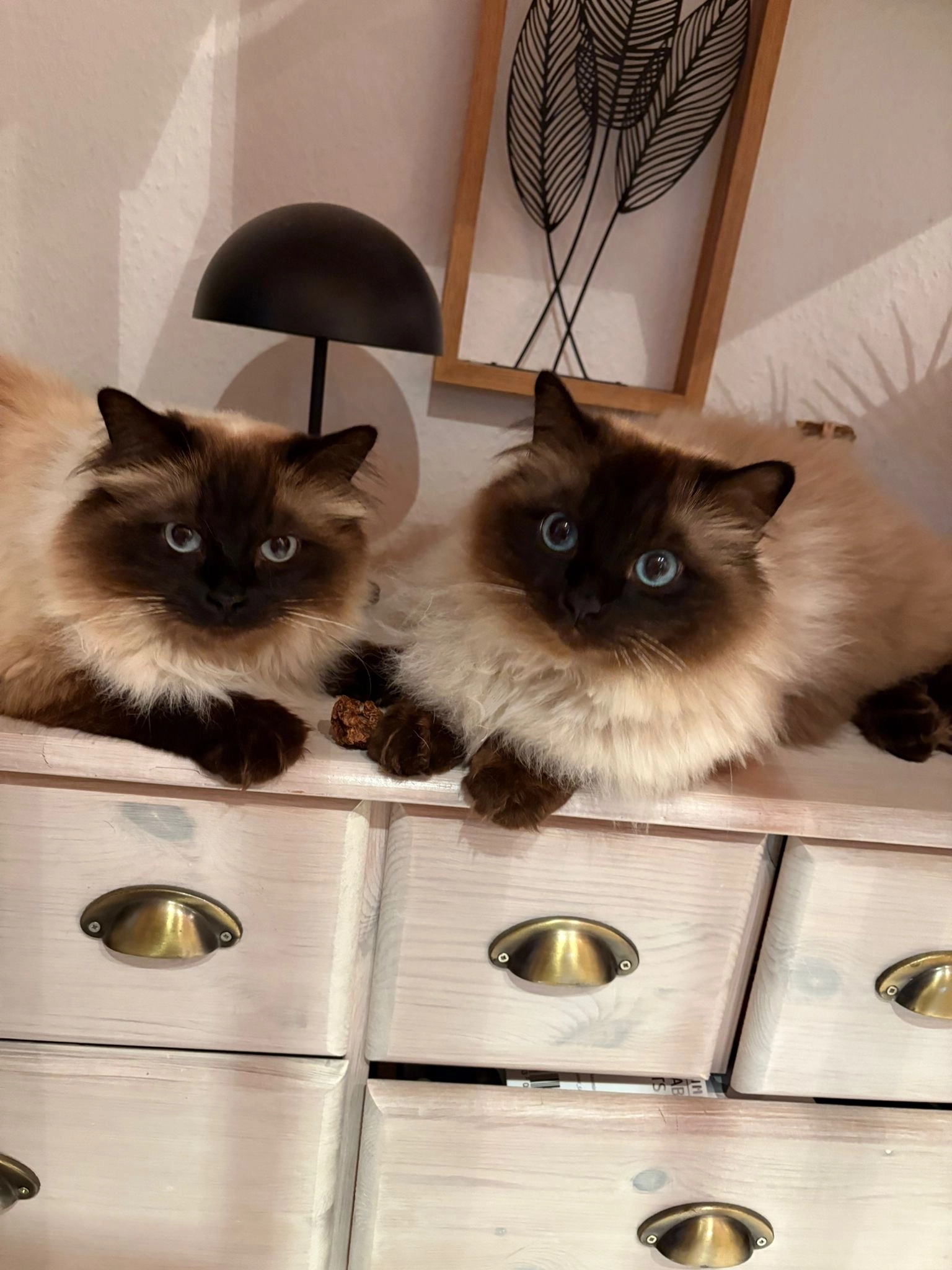 Dicker - Eichenweg, Nienstädt