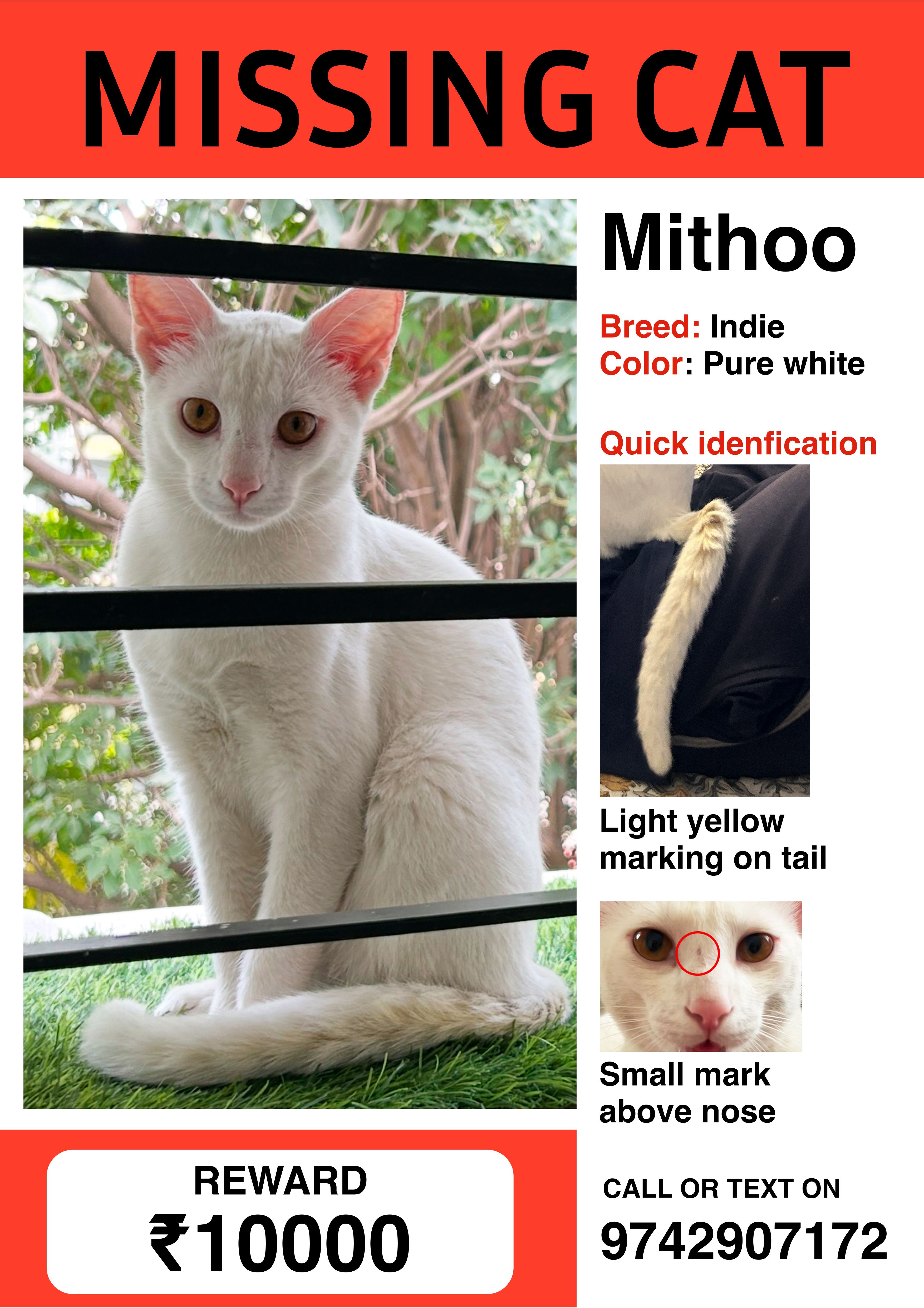 Mithoo - 26th Main Road, HSR Layout