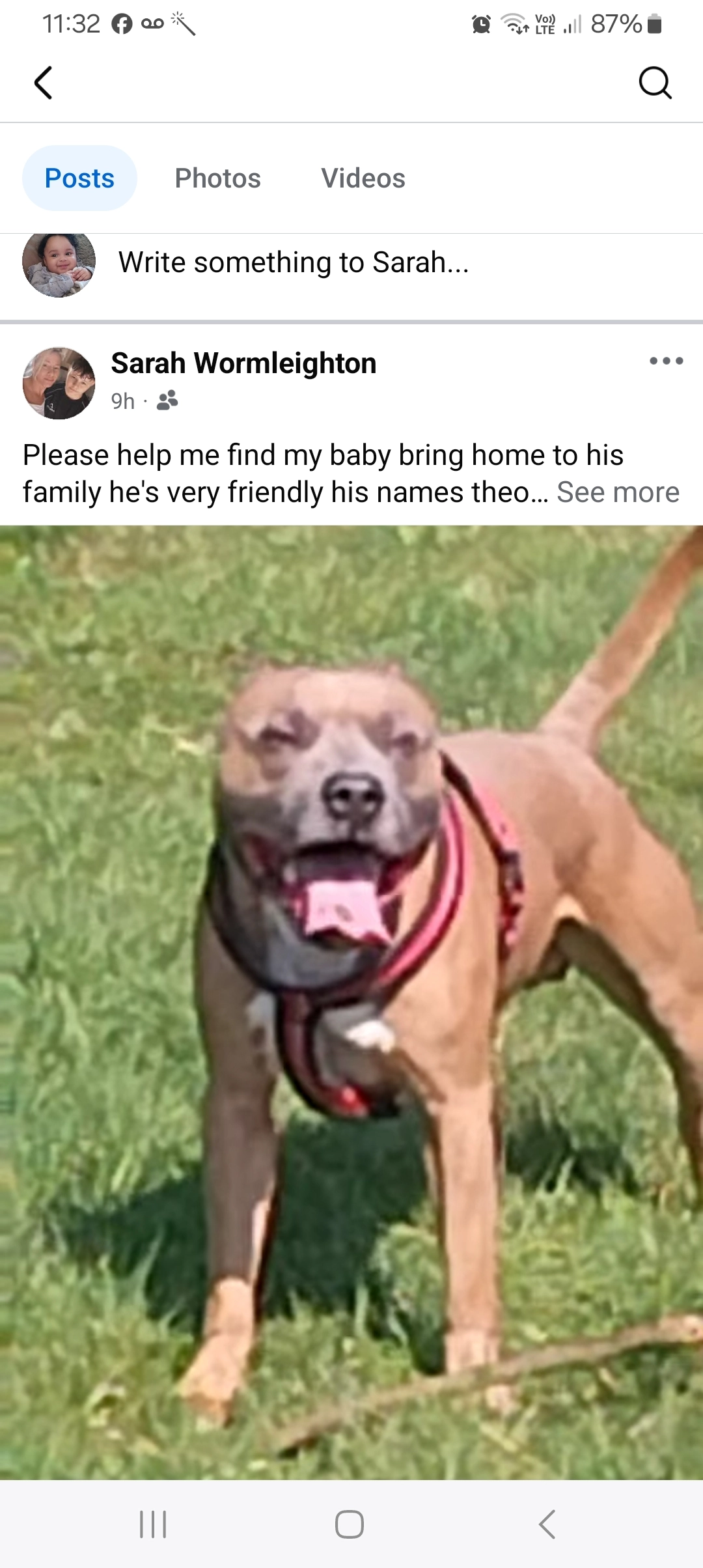 Theo  - Blissett Road, Leicester