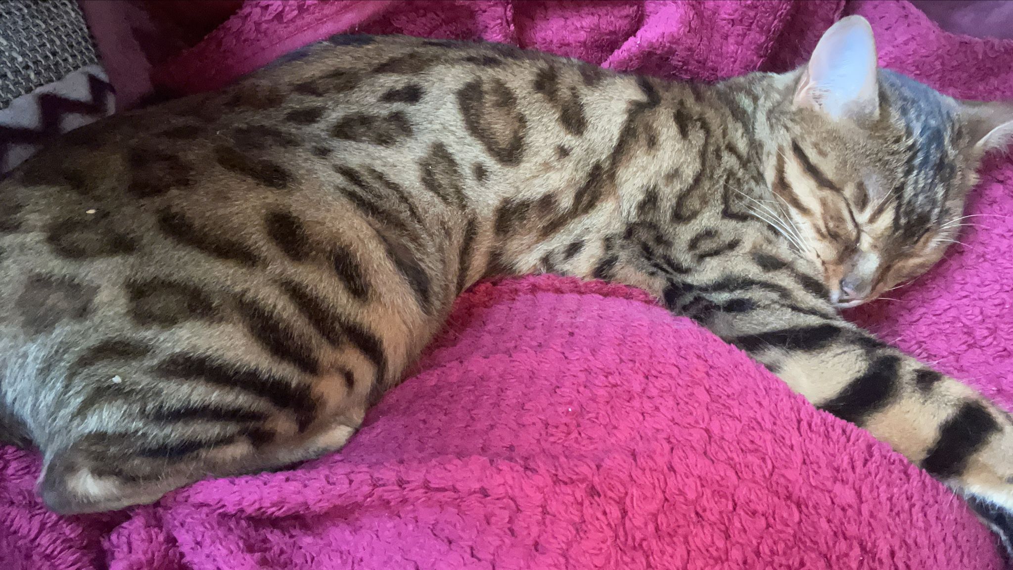 Balou - Seeweg, Itzstedt