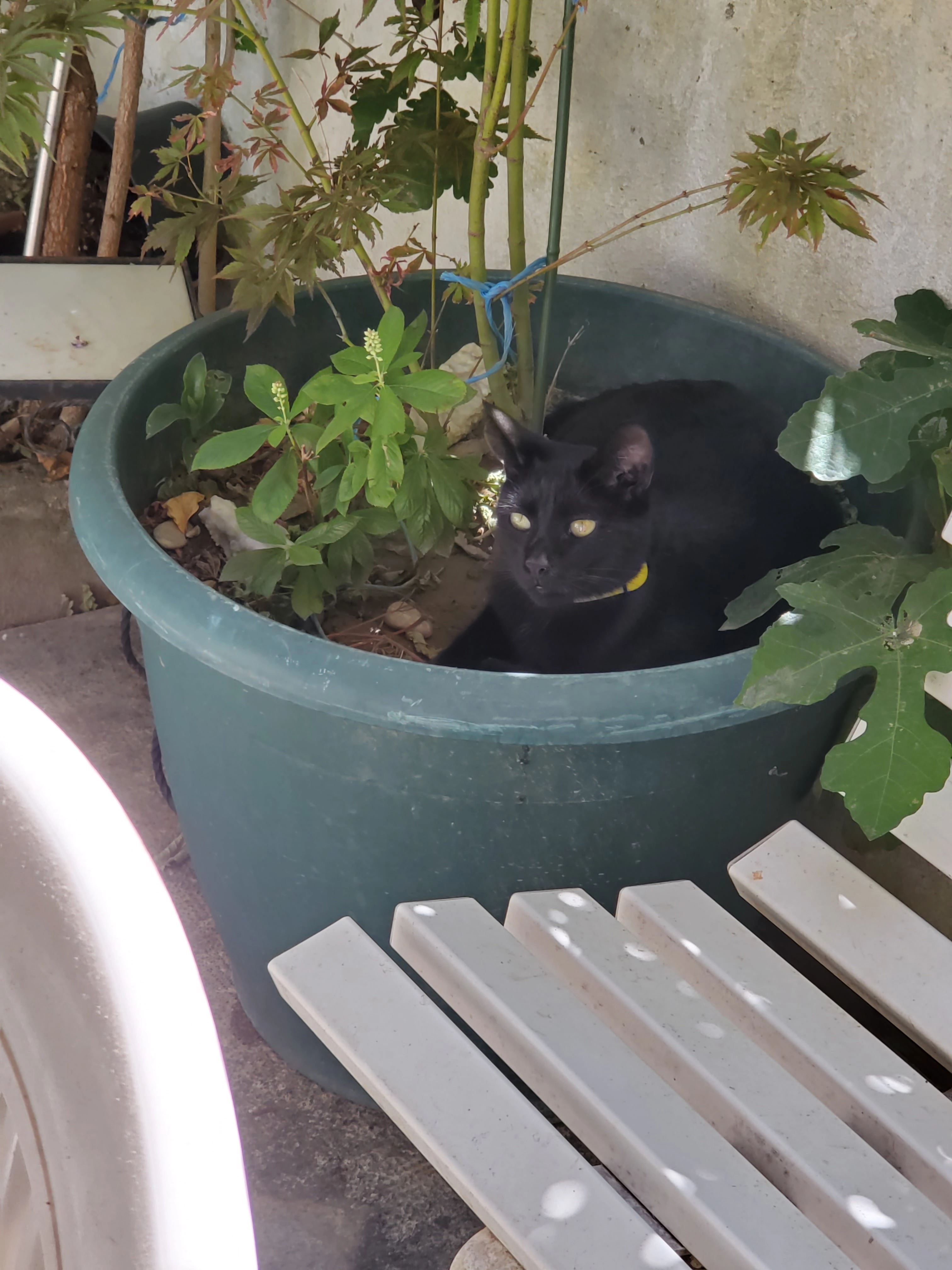 Astro - 7 Cour Pernod, Avignon