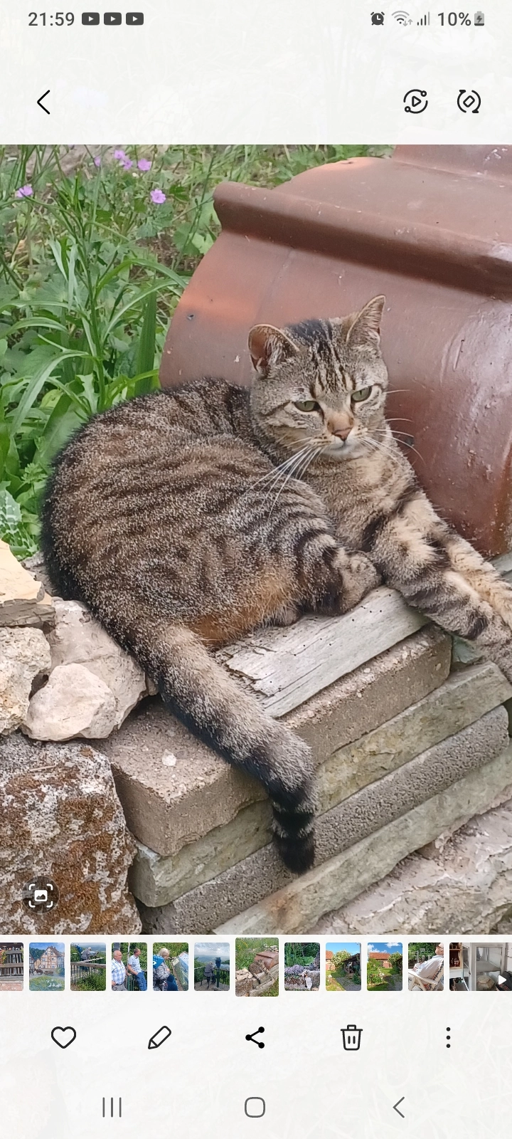 KATI - Siegfriedstraße, Kempen