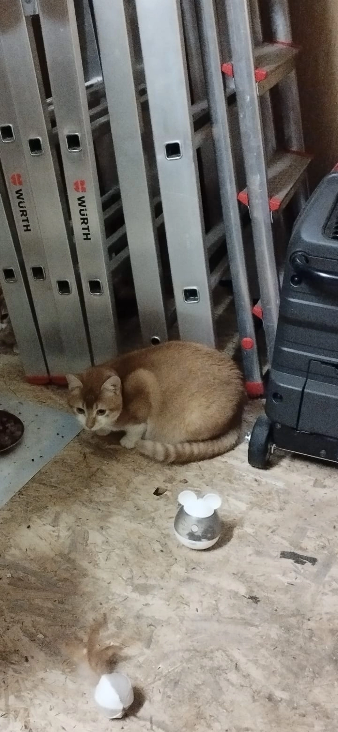 Suri - Grenzweg, Kummerfeld