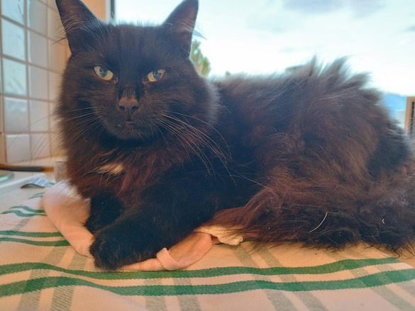 Hexi ( Weiwi )  - Werkstraße, Krieglach