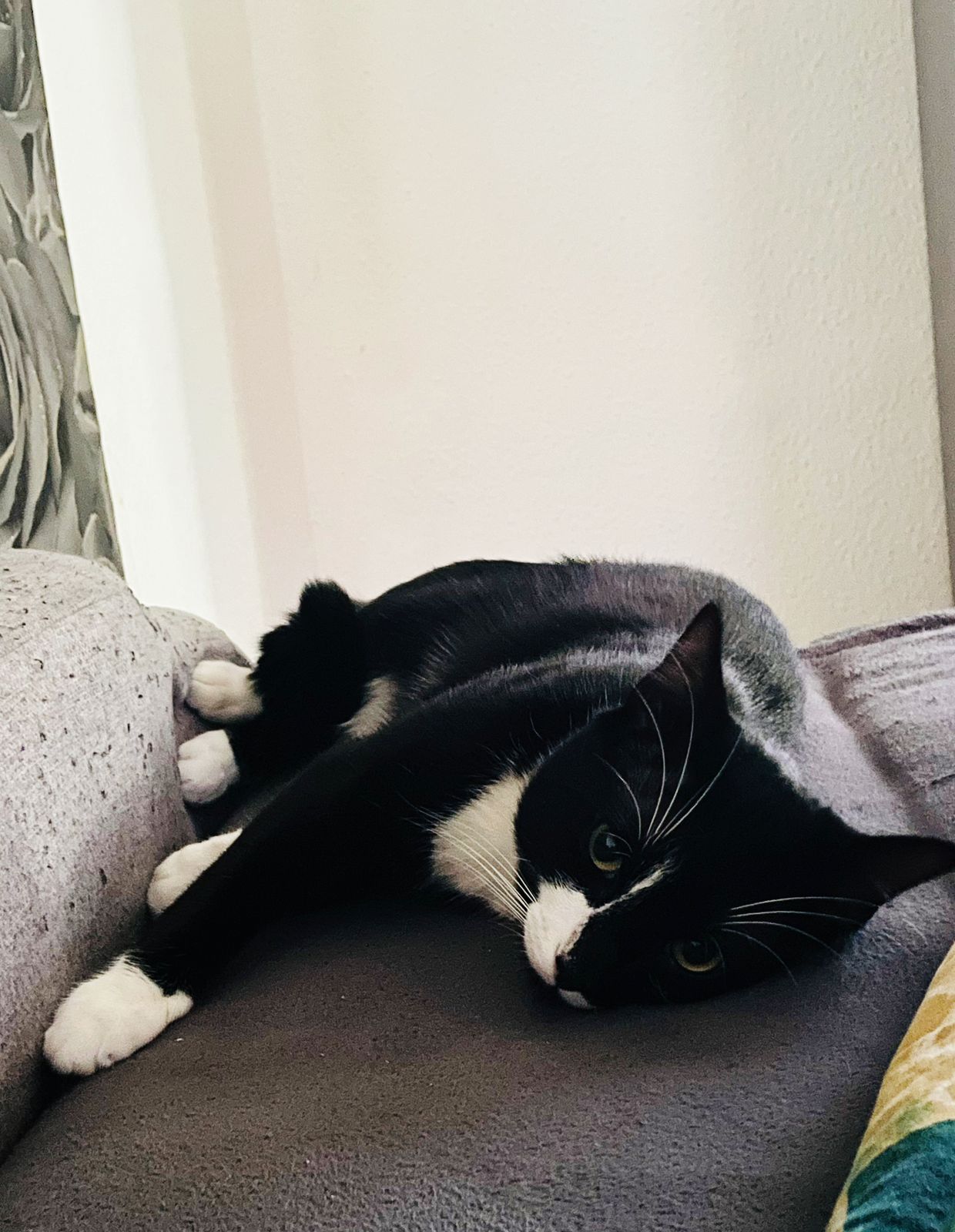 Toni - Elbestraße, Salzgitter