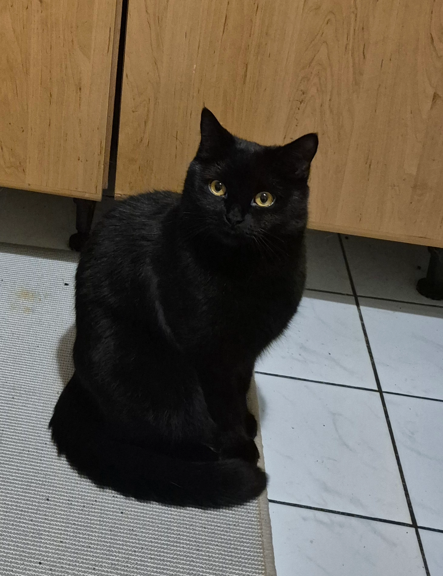 Blade - August-Schärttner-Straße, Hanau