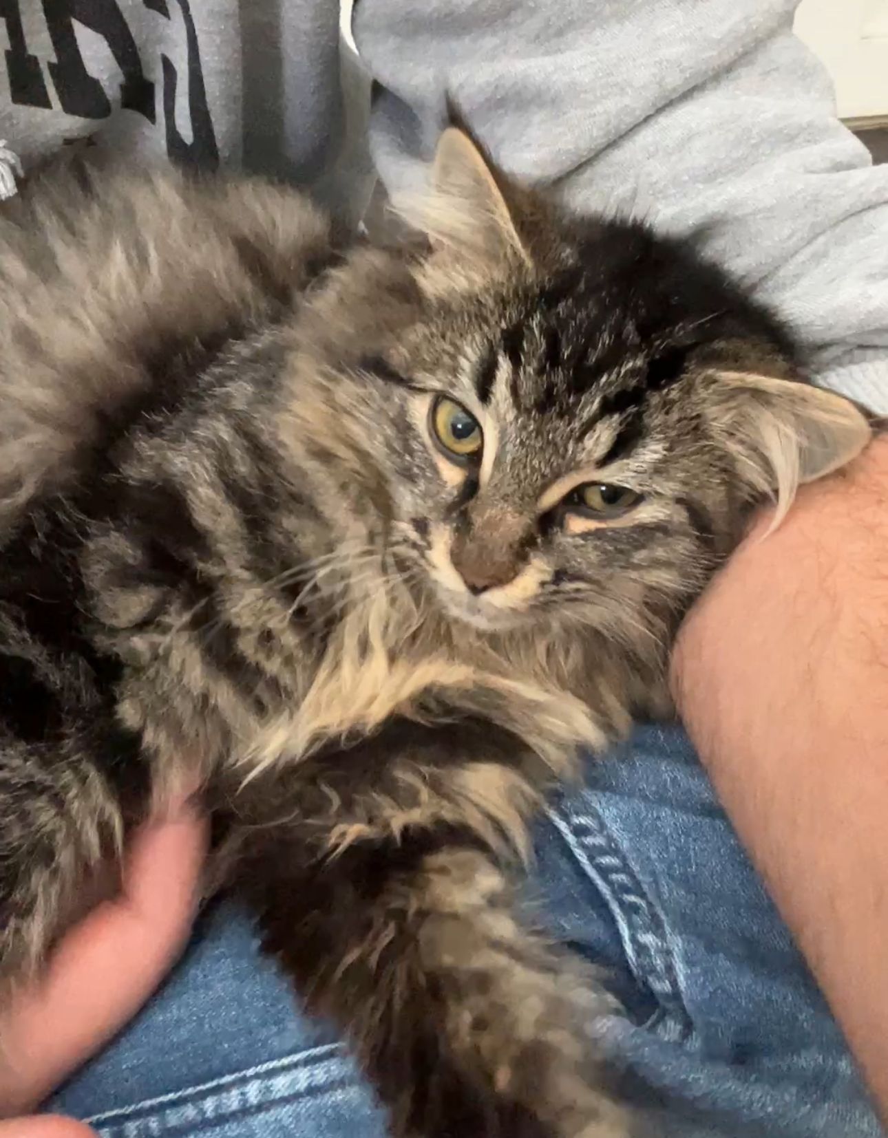 Shani - Bakkersweg 33A, Emden