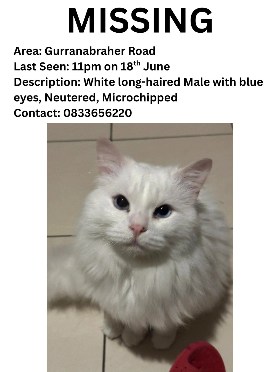 Dumbledore  - Gurranabraher , Cork