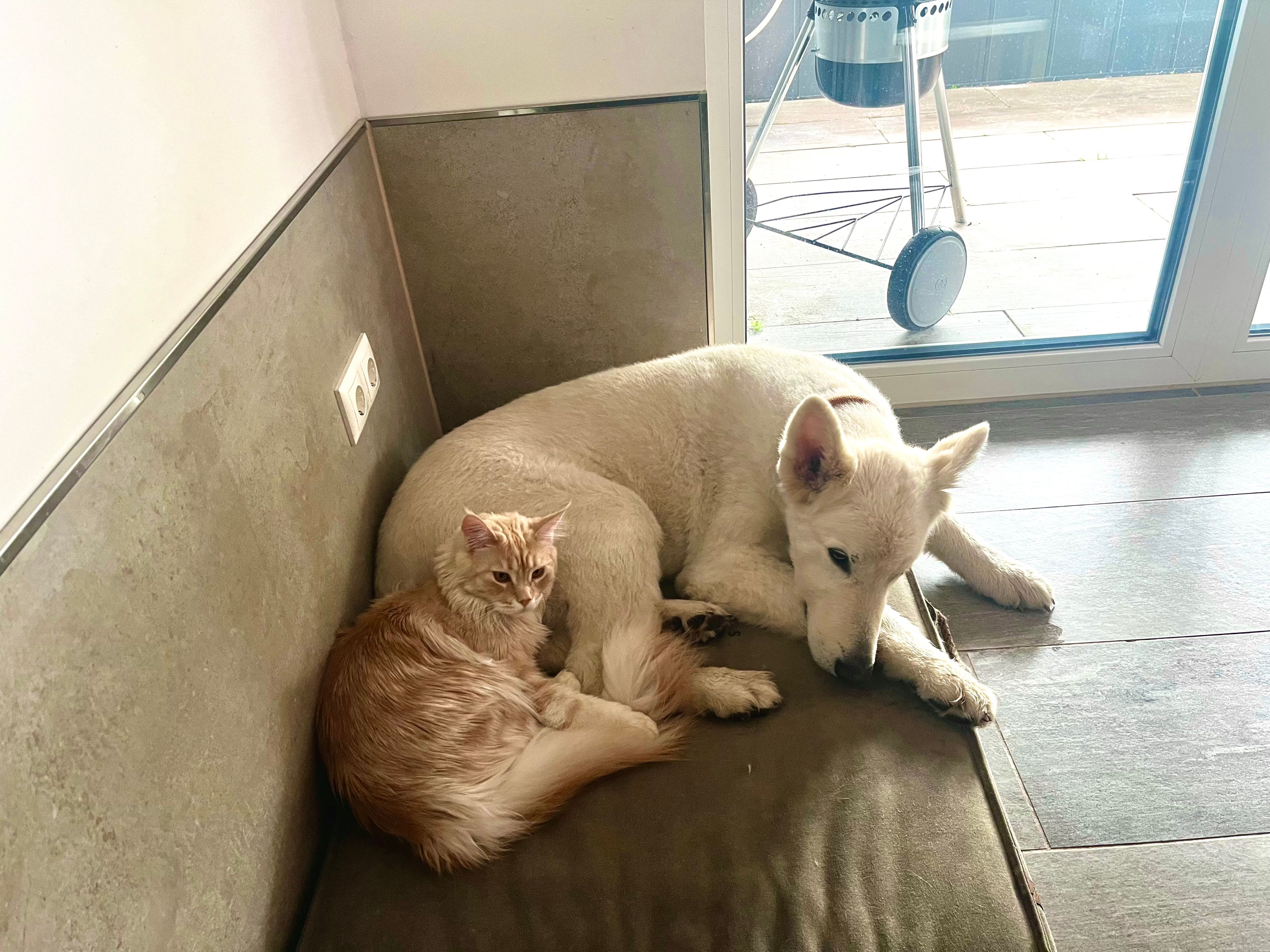 Lily - Neudorf, Grafenau