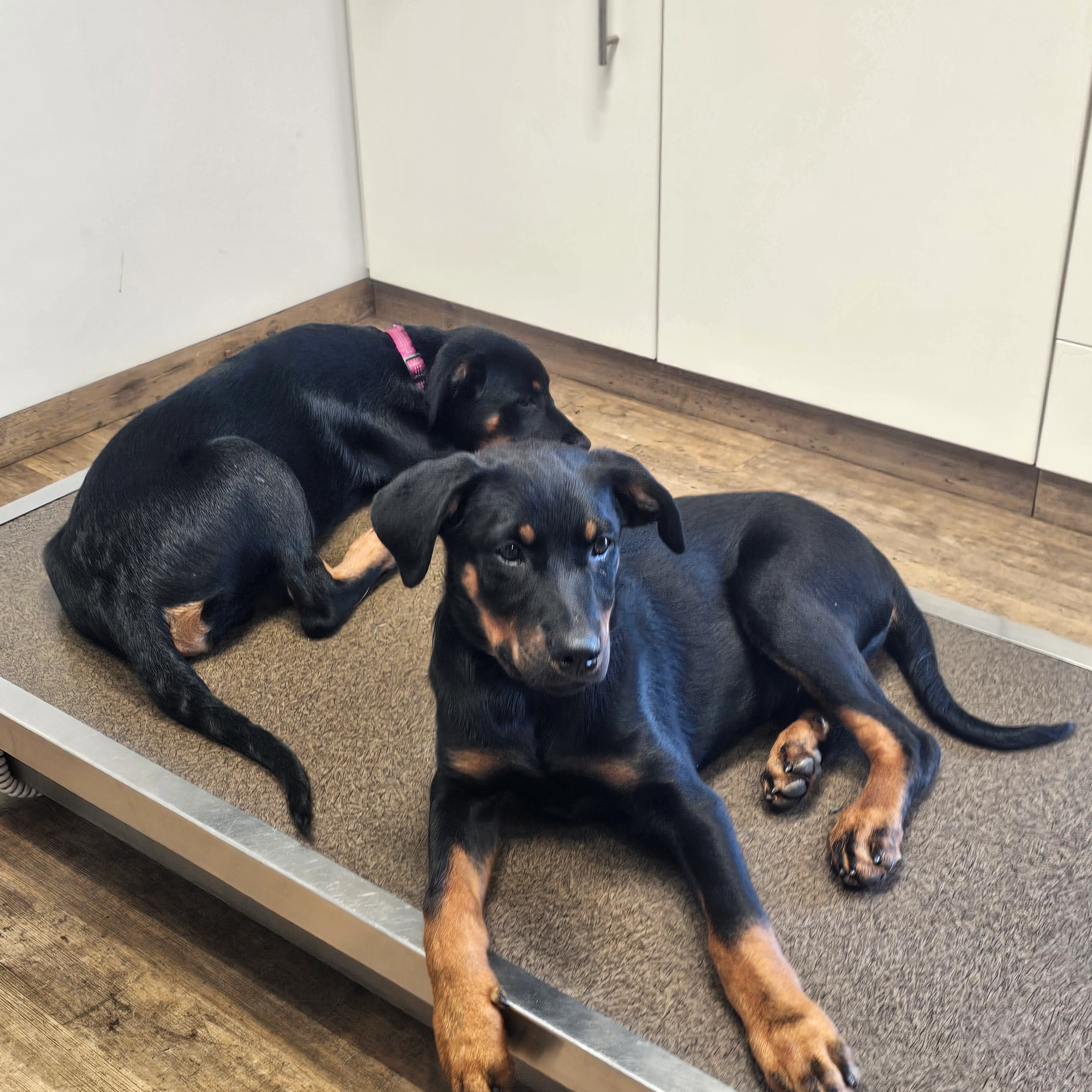 Ares et akyla - 12 Rue de la Gare, Saint-Yan