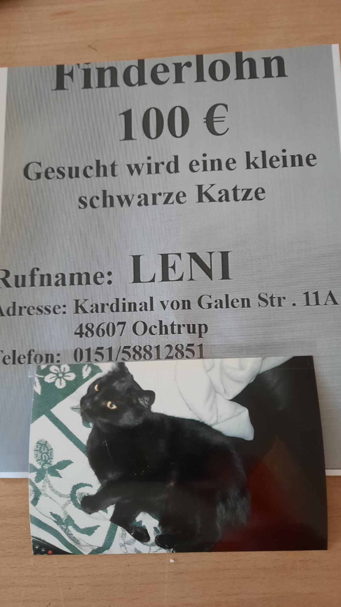 Leni - Kardinal-von-Galen-Straße, Ochtrup