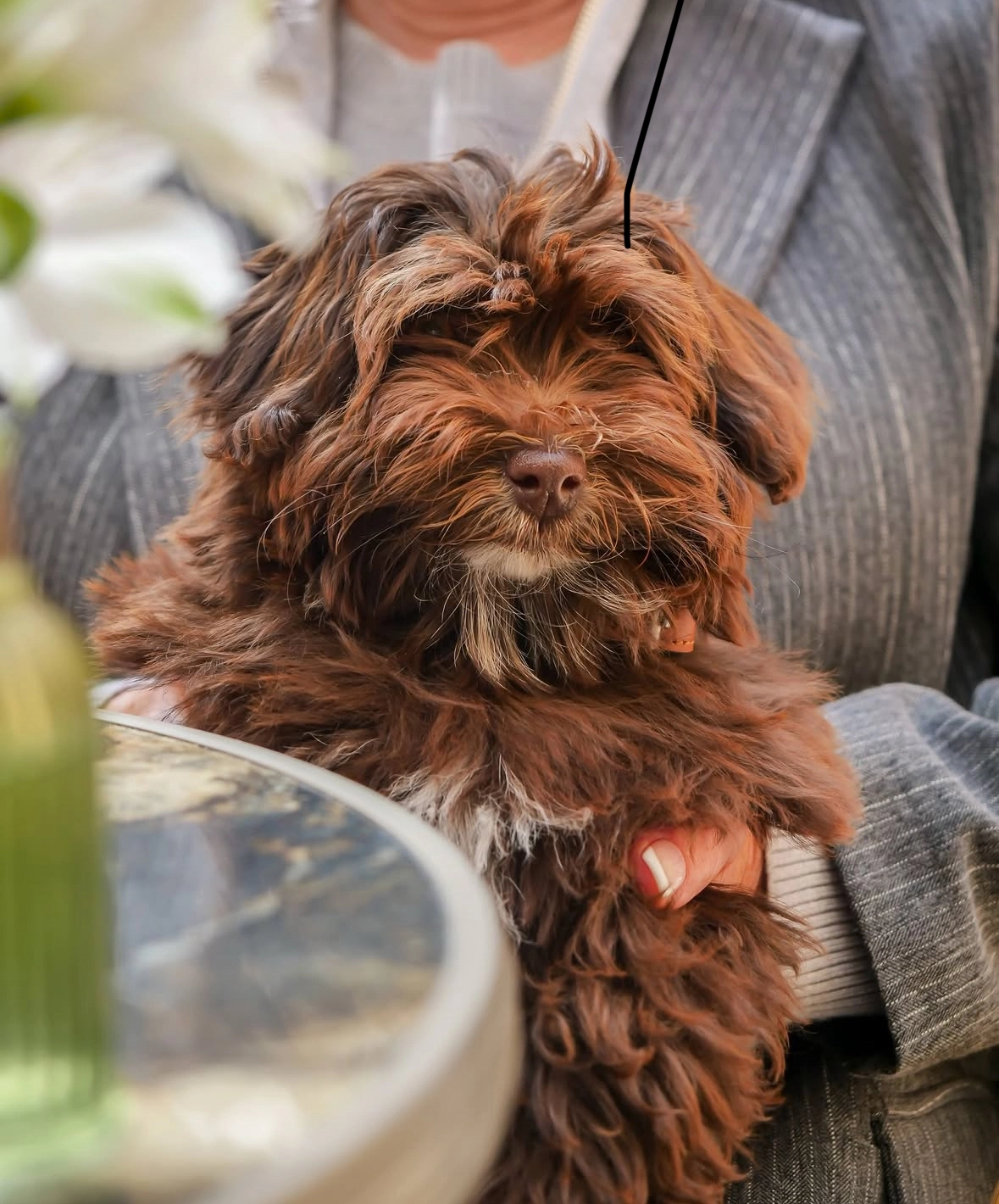 Ramus - Avenue De La Bringueronne, Marseille