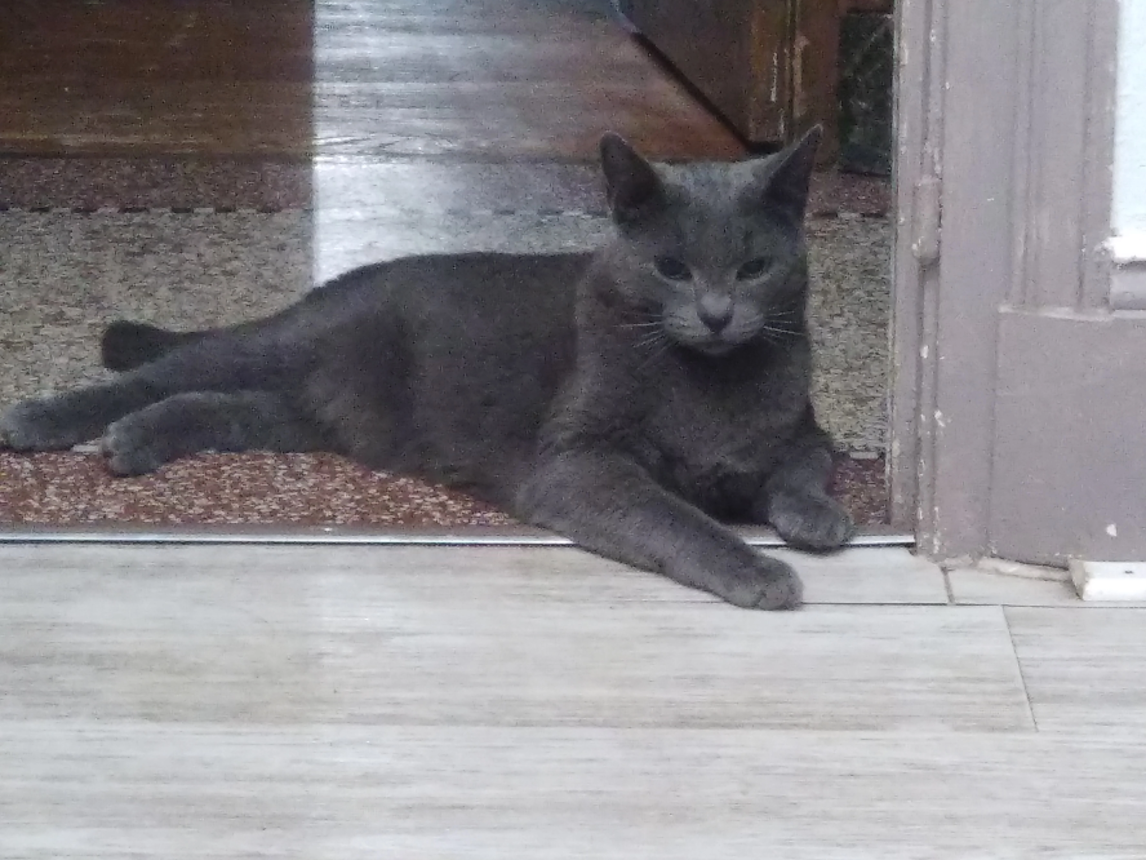 stark - 19 Route de Montpellier, Frontignan