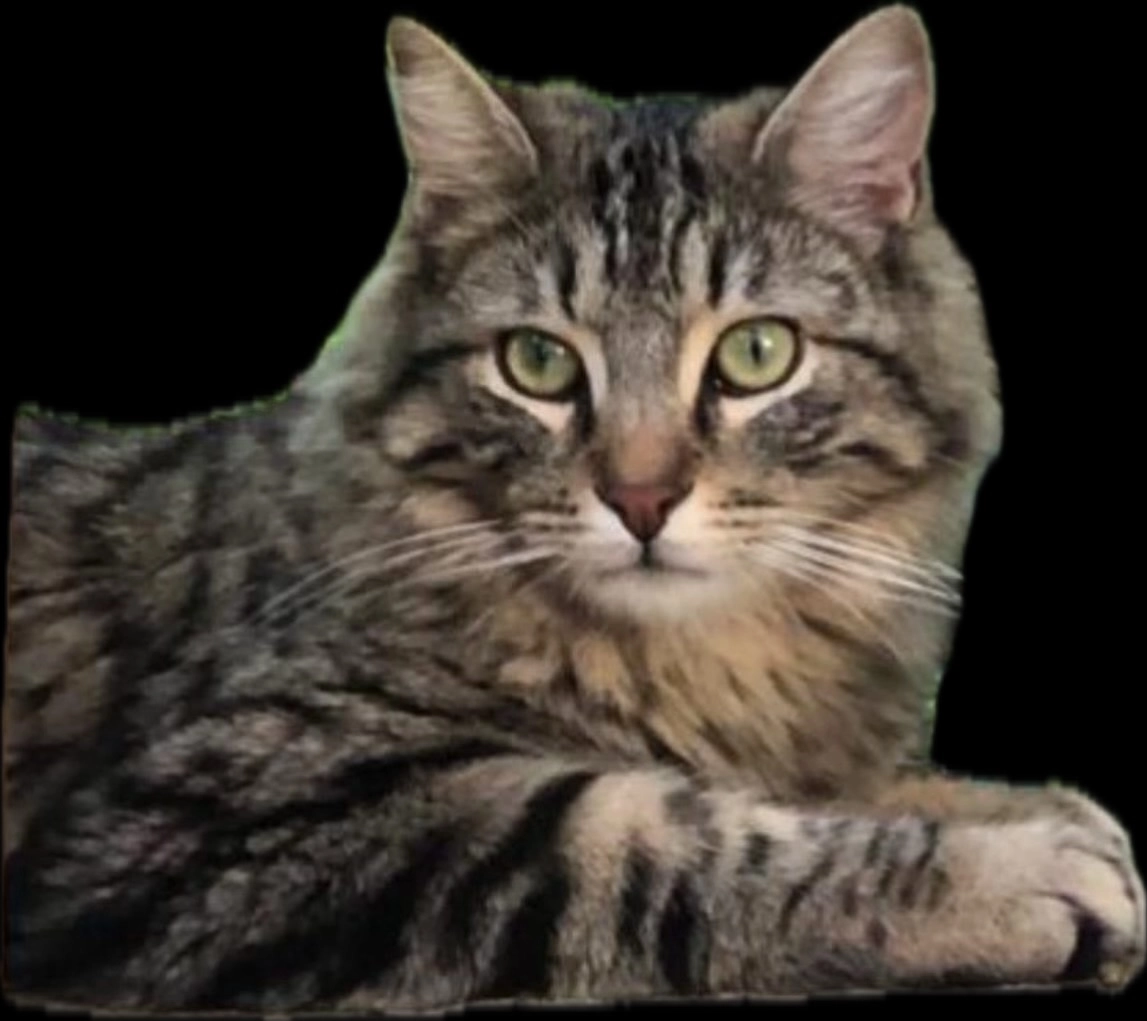 Artur - Autoroute du Soleil, Salon-de-Provence