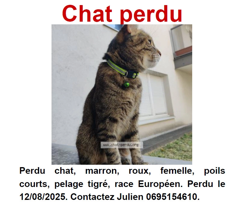 Nala - 136 Rue Antoine Charial, Lyon