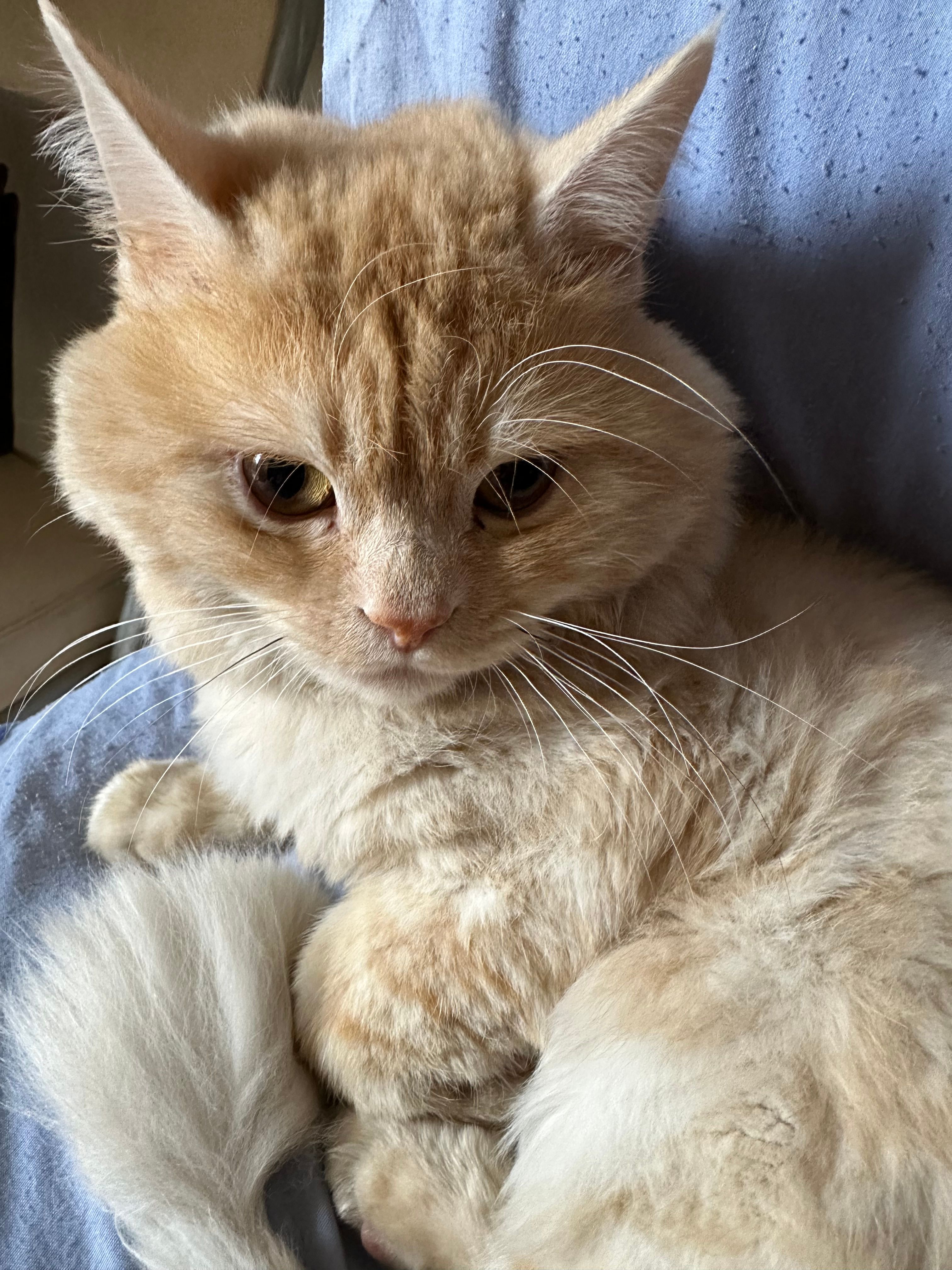 Caramello - Zahle Street, Zahle El Rassiye