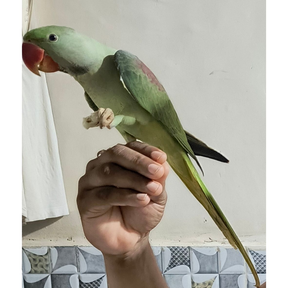 Mithu - Reti Bunder Road, Dombivli