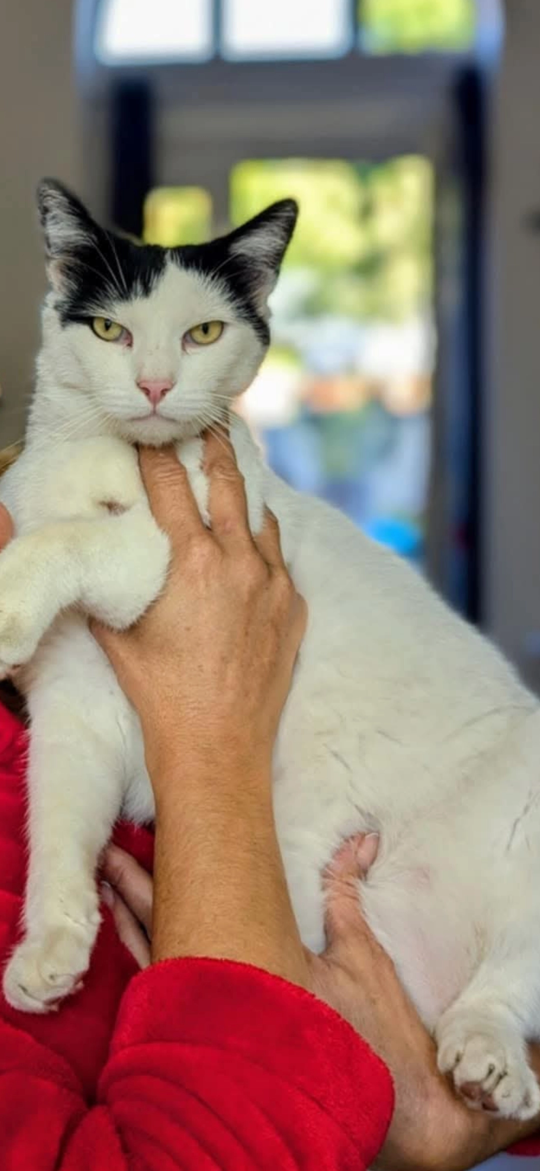 Socrate - 307 Rue du Docteur Dourlens, Bruay-la-Buissière