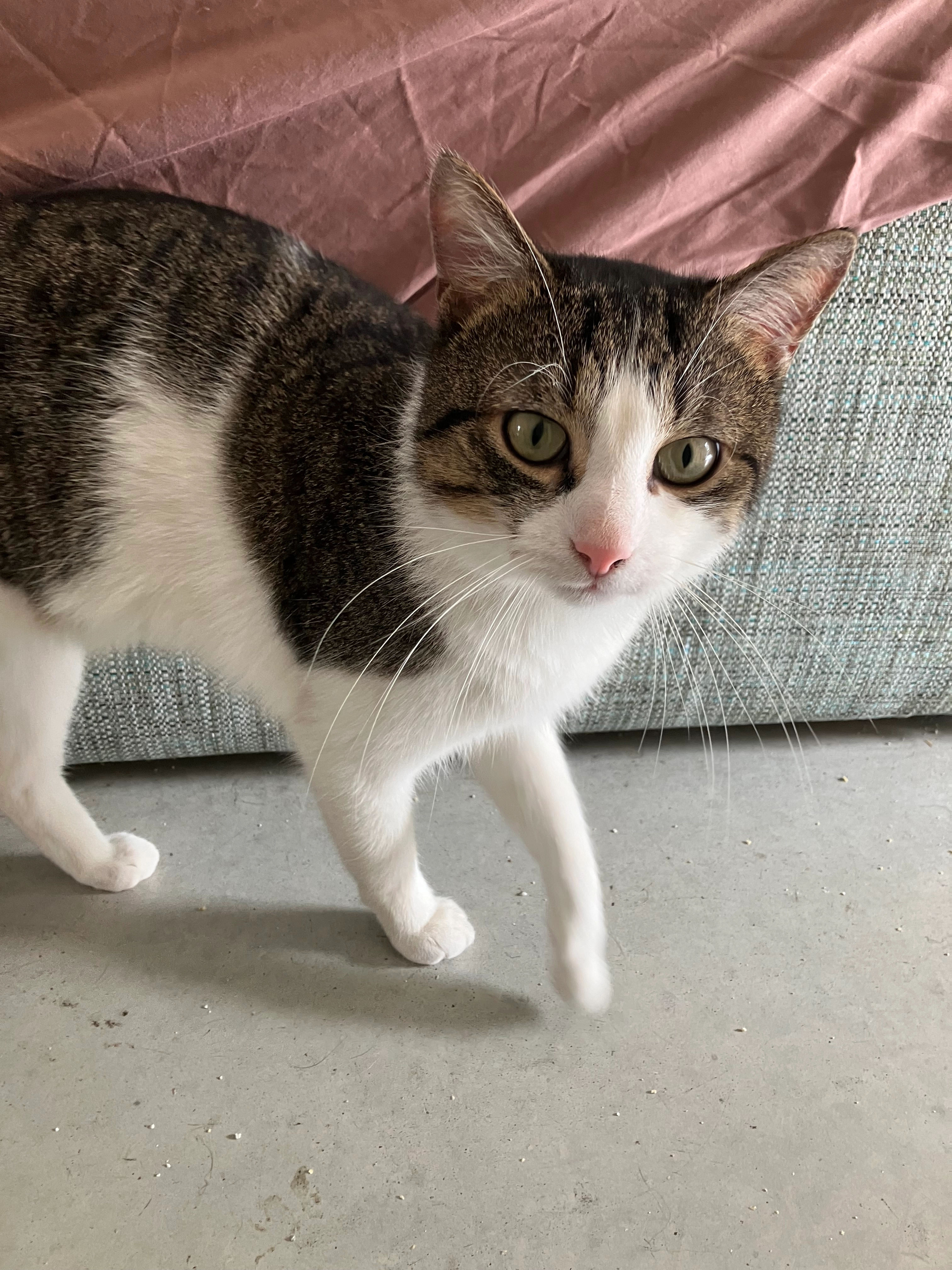 Emil - An Der Brauerei, Werdau