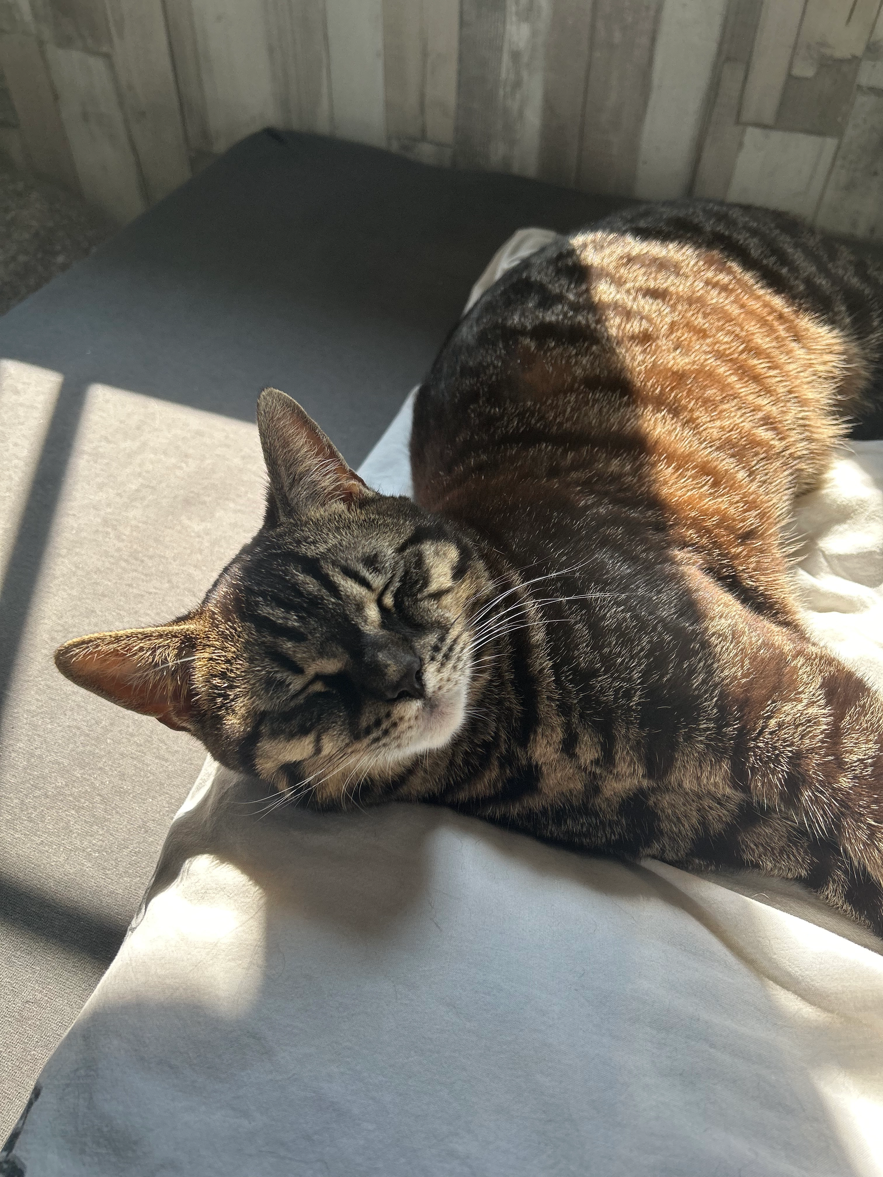 Leo - Droste-Hülshoff-Straße, Dülmen