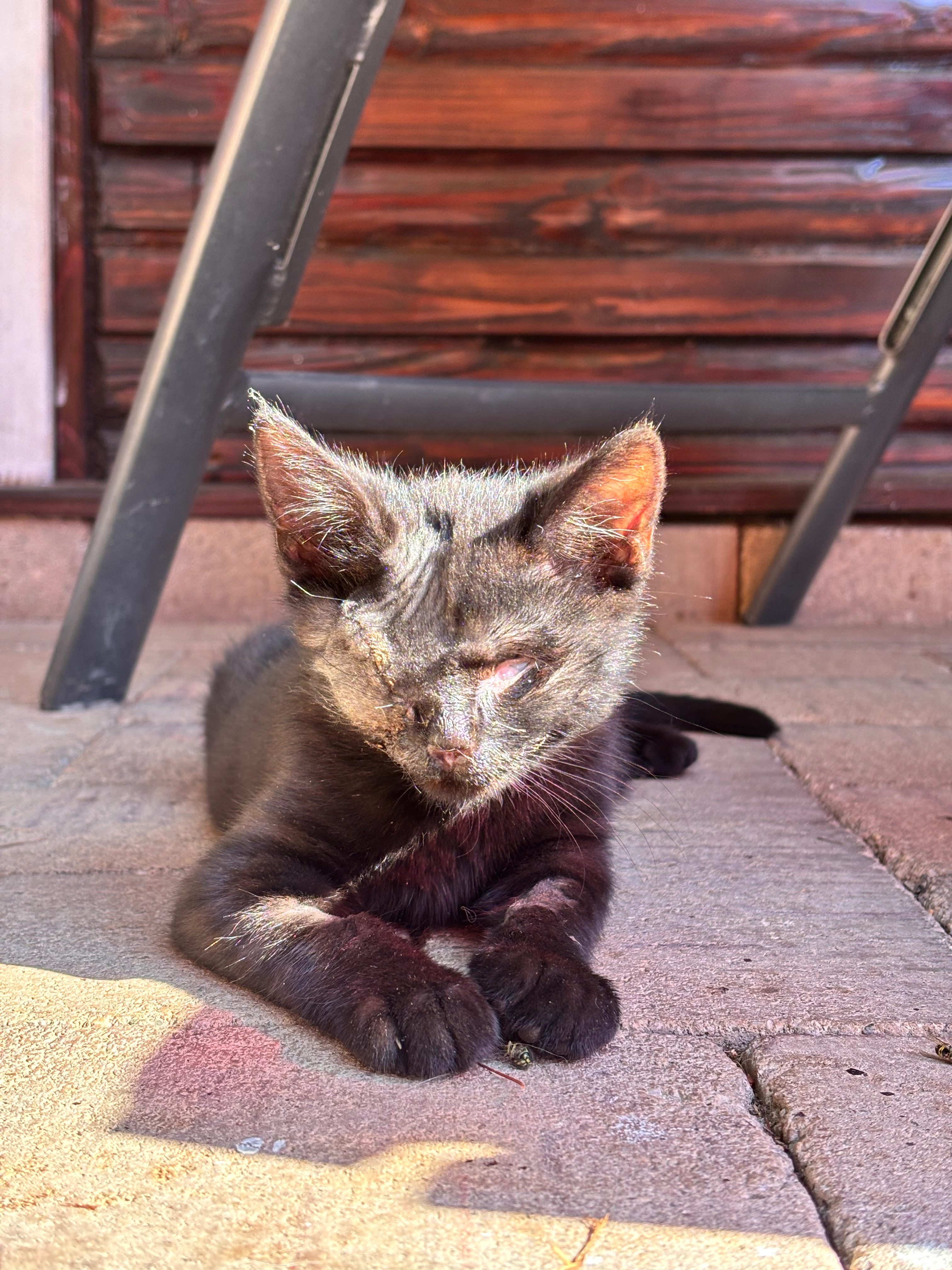 Blacky  - Banky, Okres Banská Štiavnica