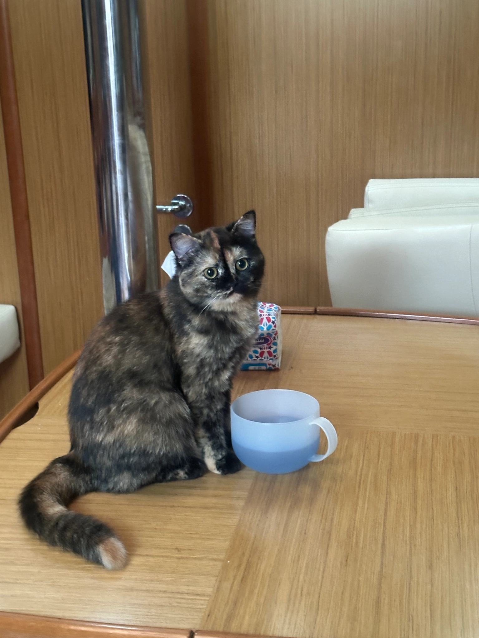 Lulu - شارع الزرقطوني, الحسيمة