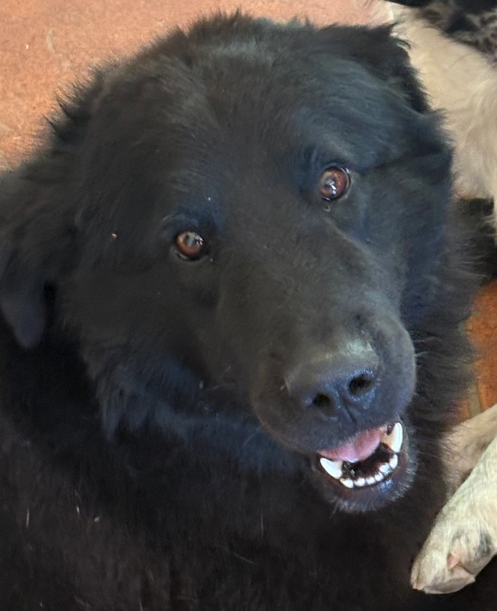 Flash  - 8 Montée de la Combe, Mornas