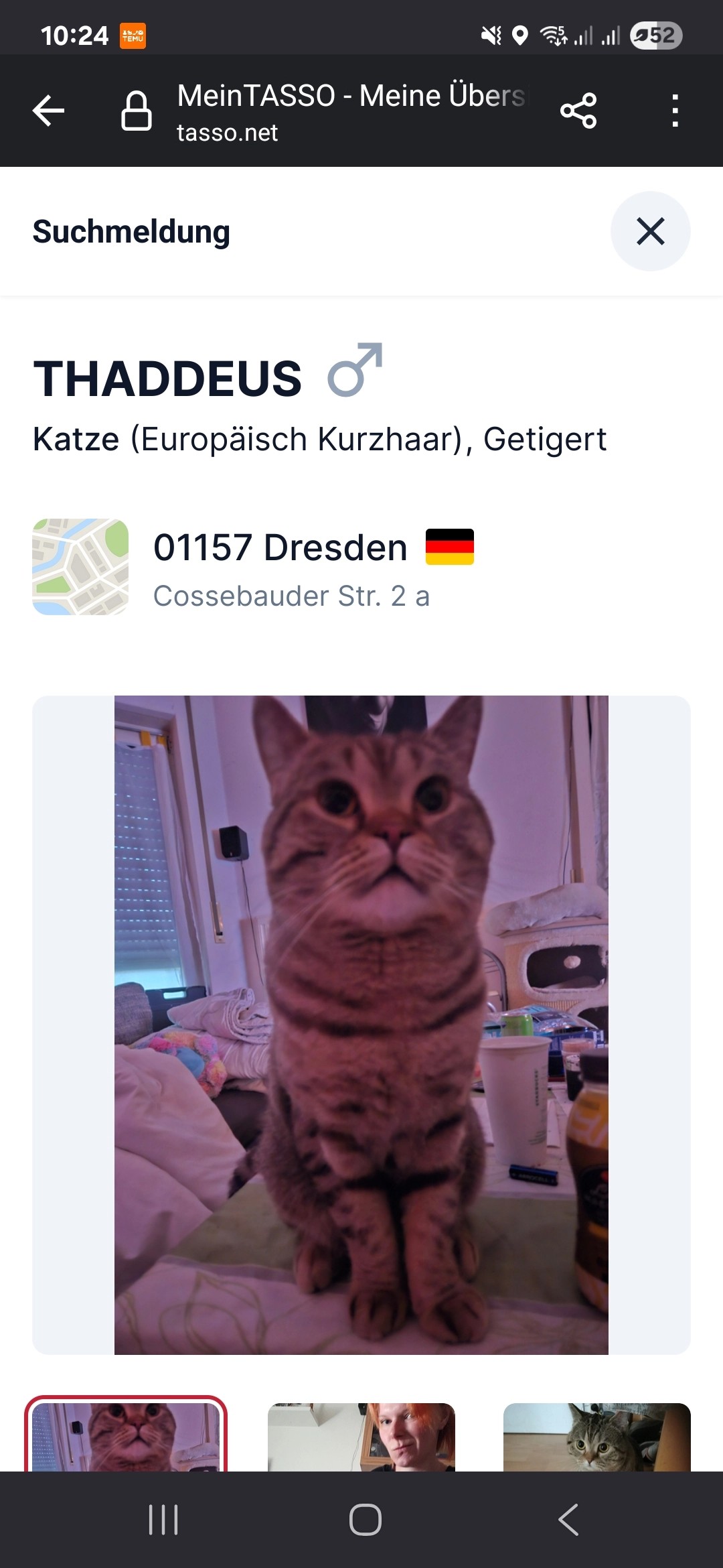 Thaddeus  - Mobschatzer Straße, Dresden