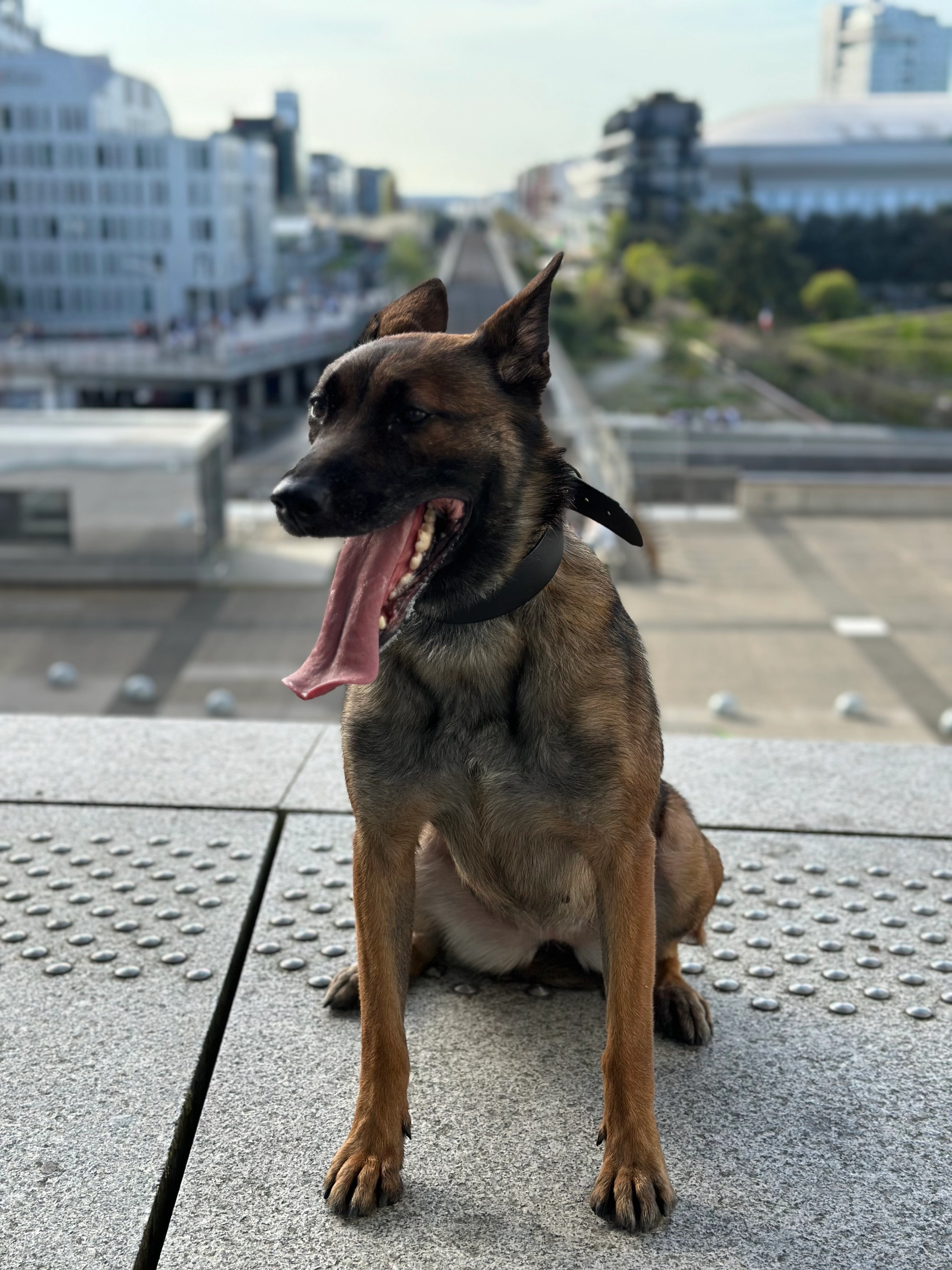 Skaï  - Place de la Nation, Paris