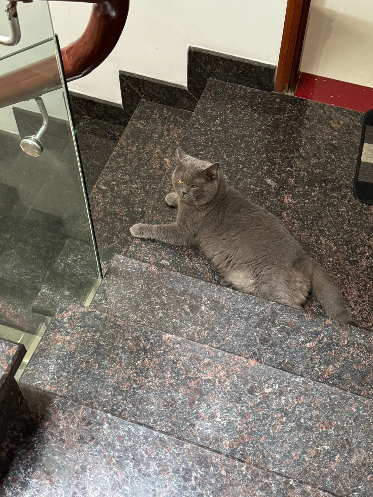 Meo - Hẻm 695/9 An Dương Vương, Hồ Chí Minh