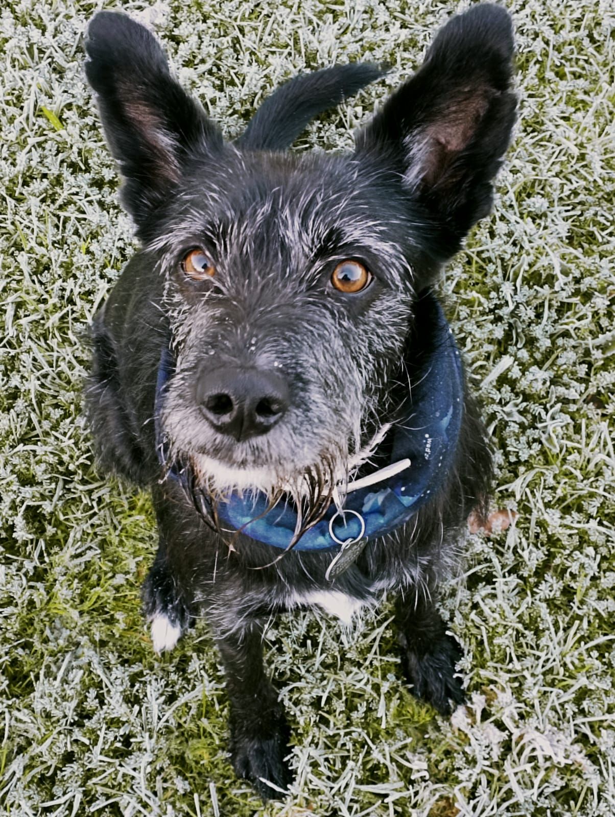 Sombra - O Cruceiro da Barquiña, Noia