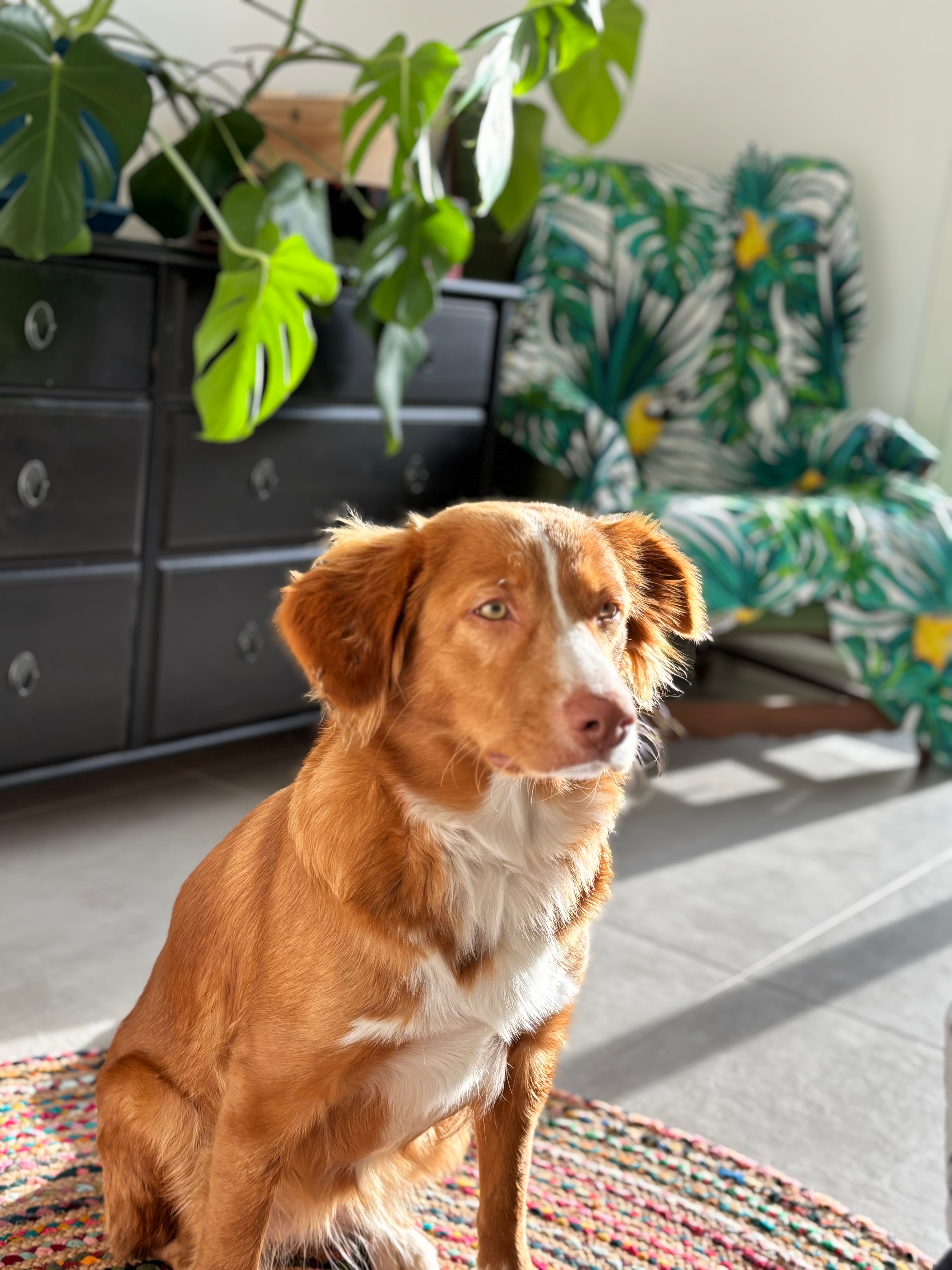 Dune - 485 Chemin de Bouenhoure, Aix-en-Provence