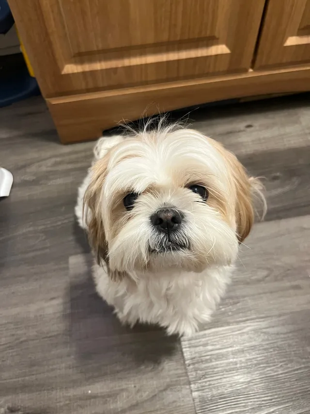 Bella - 63 Jackson St, Long Branch