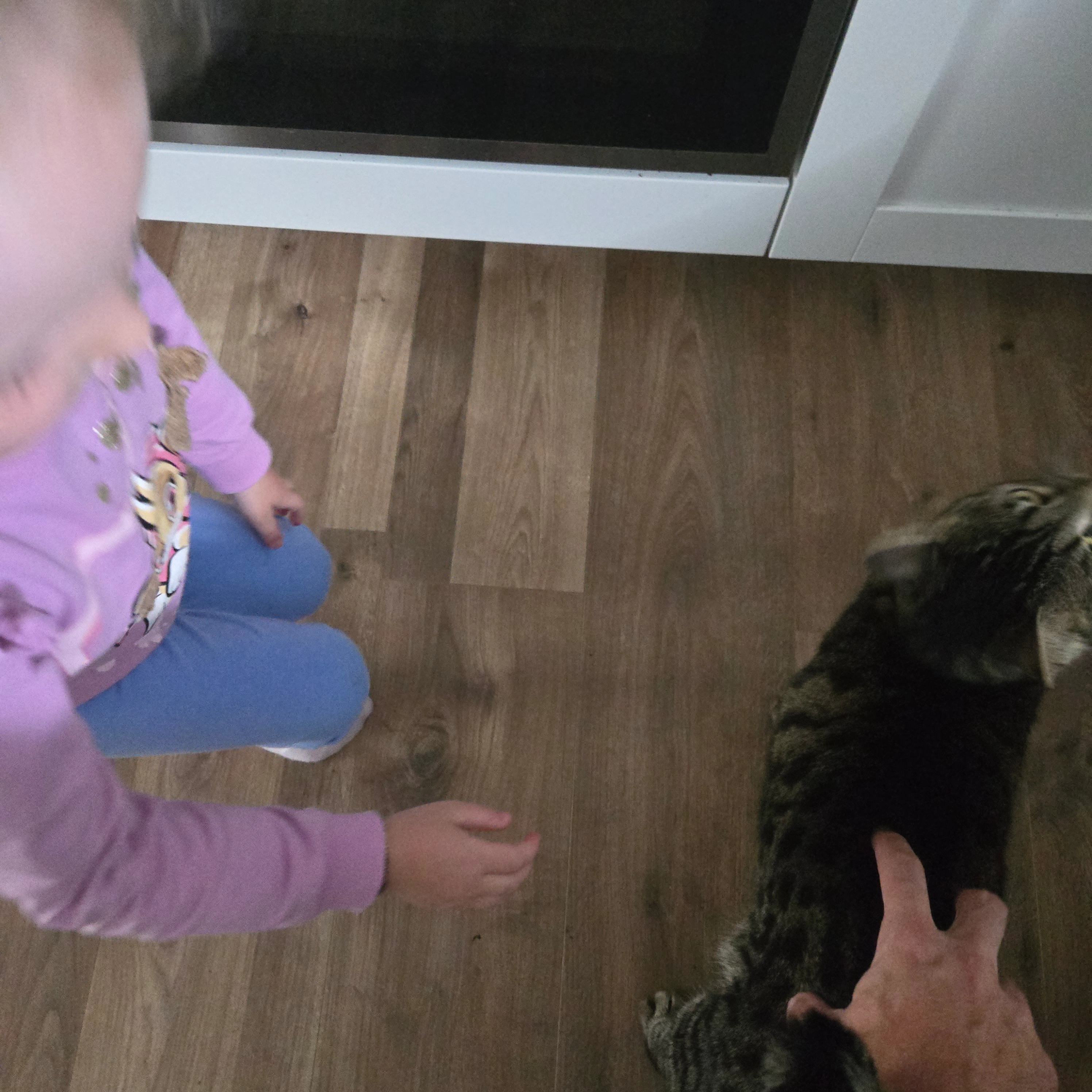 Antar - Gartenstraße, Siegburg