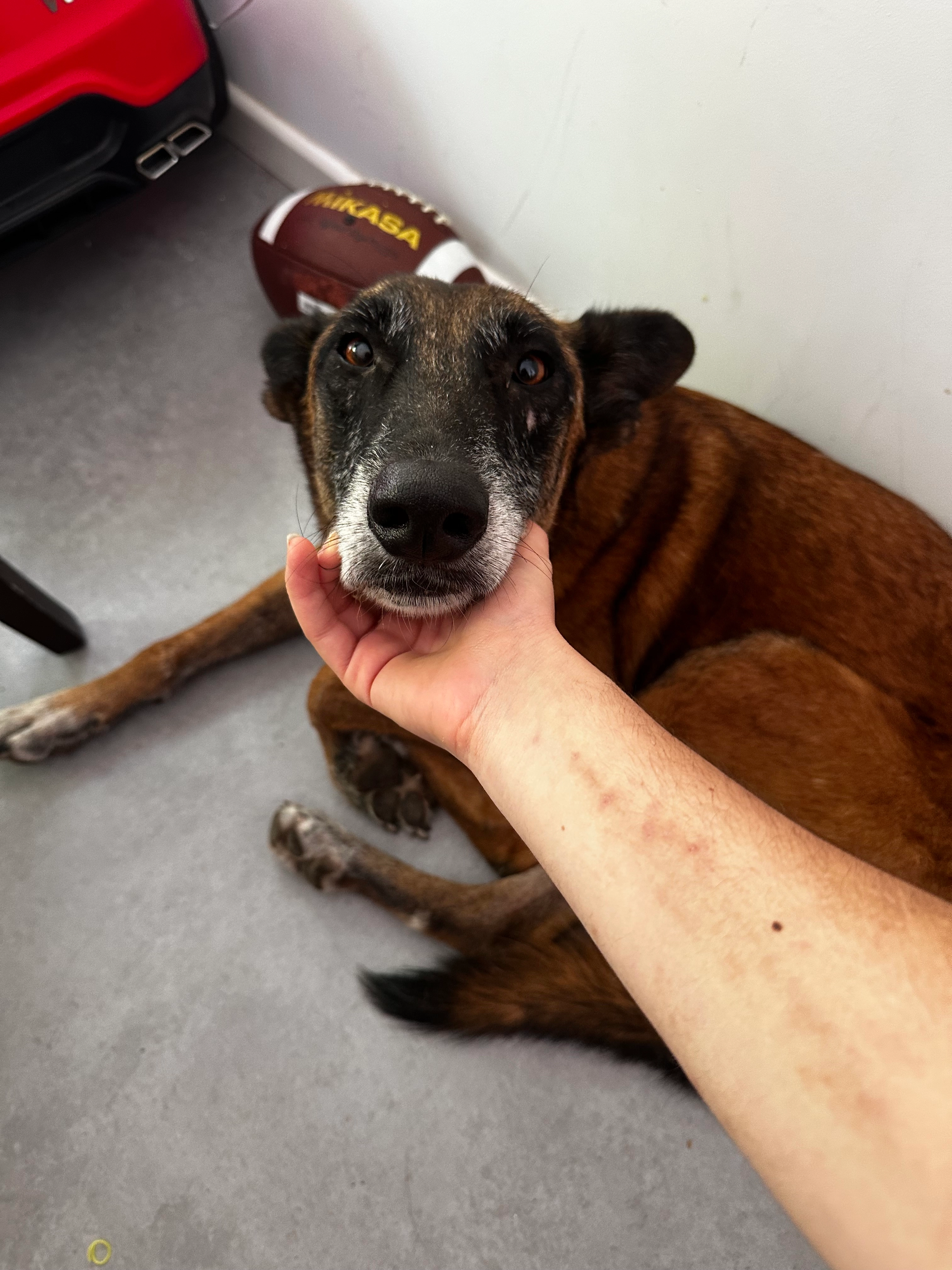 Valero - HaYarkon, Tel Aviv