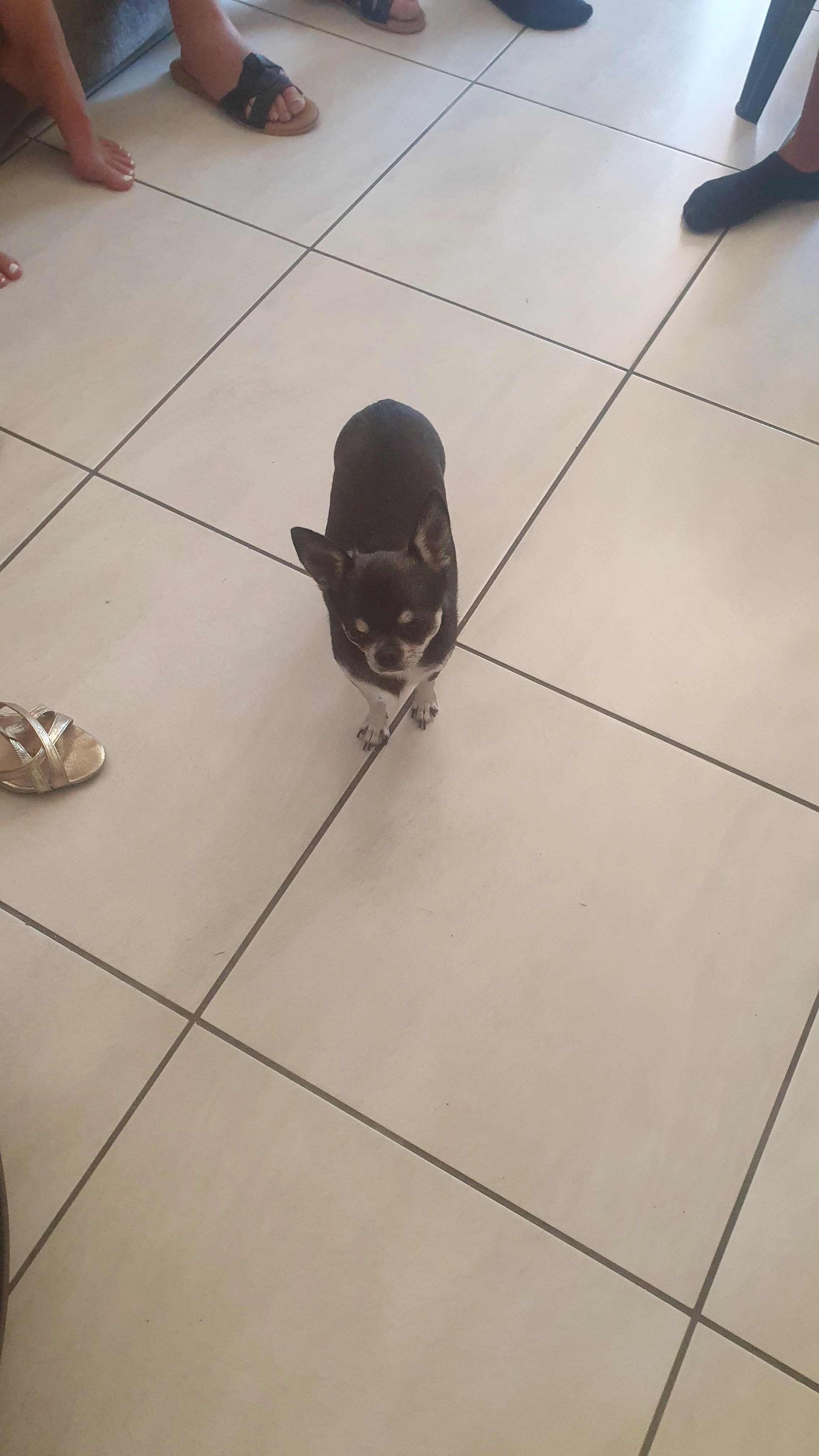 Mitch  - Chemin Du Planas, La Grand-Combe